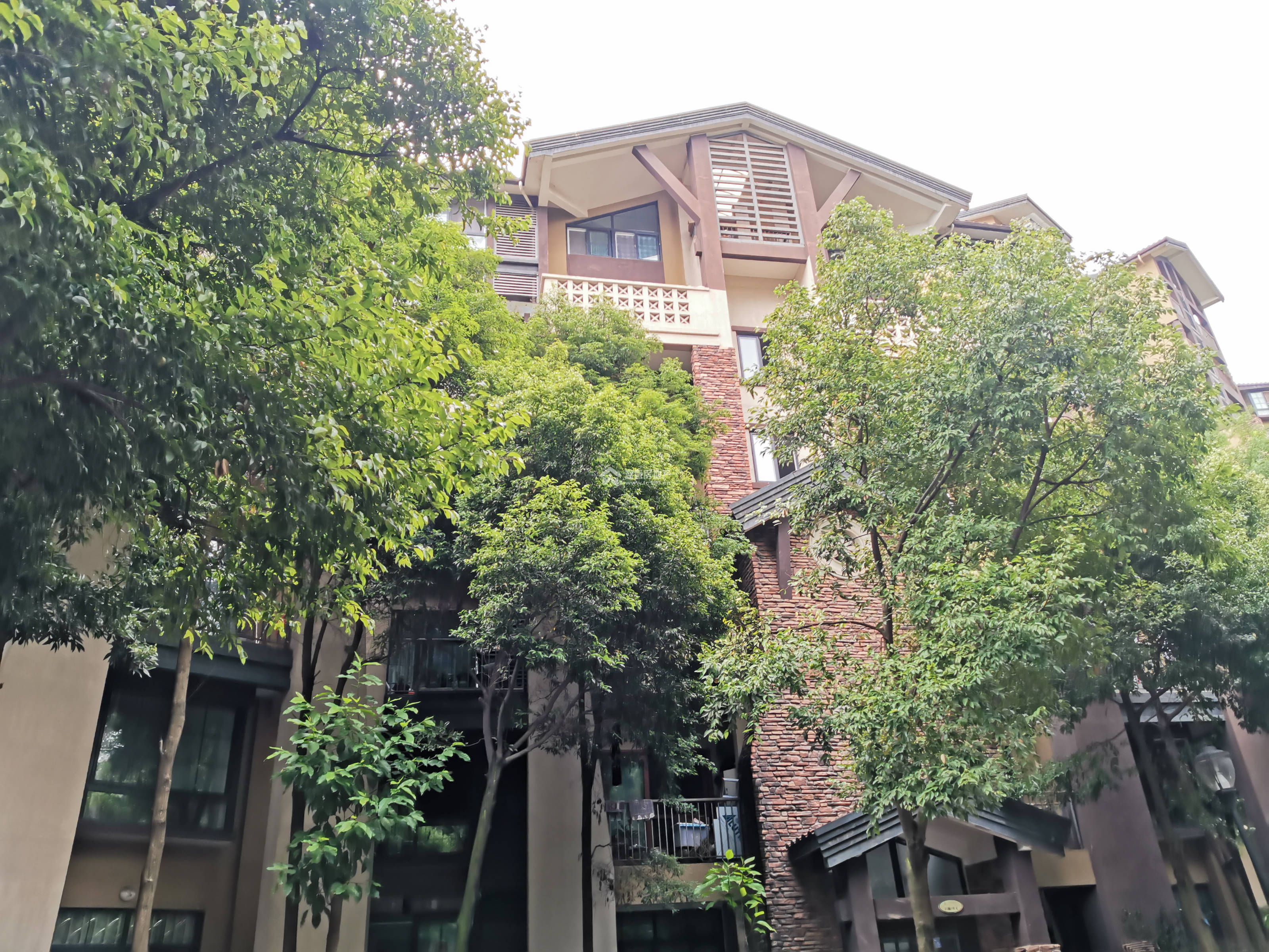 悠山郡图片