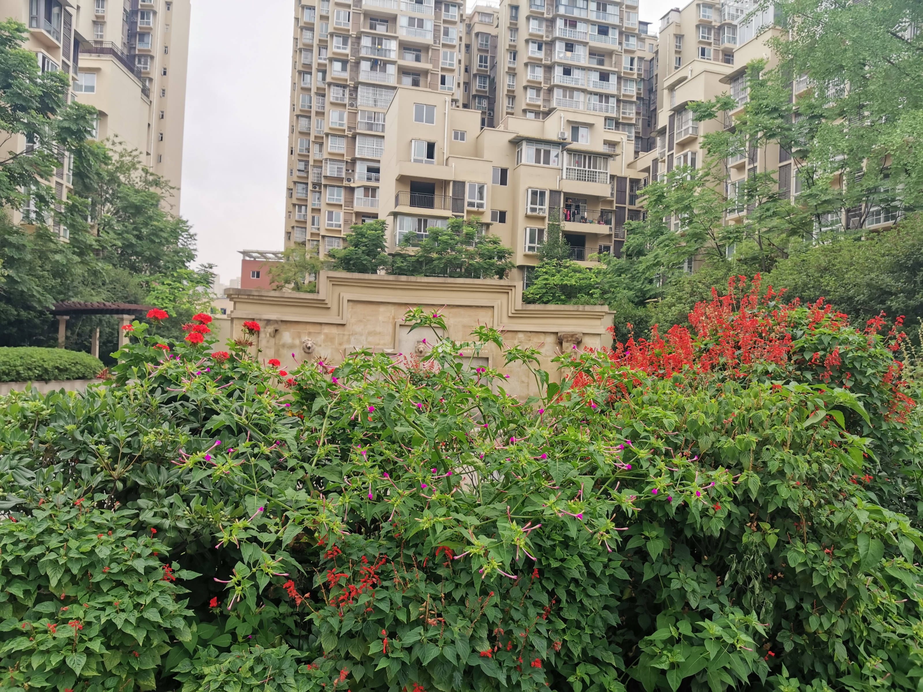 文卫花园图片