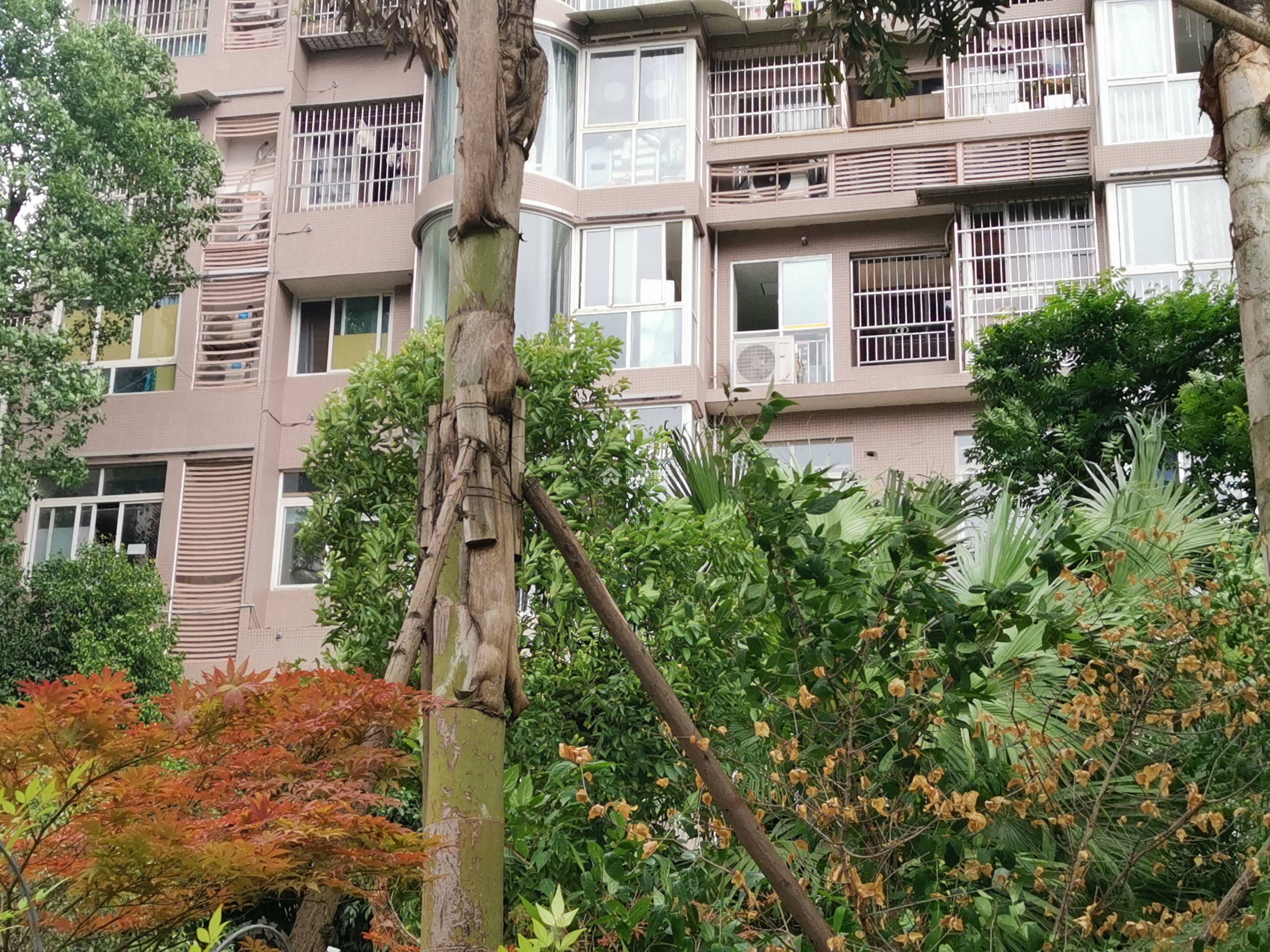园中苑B区图片