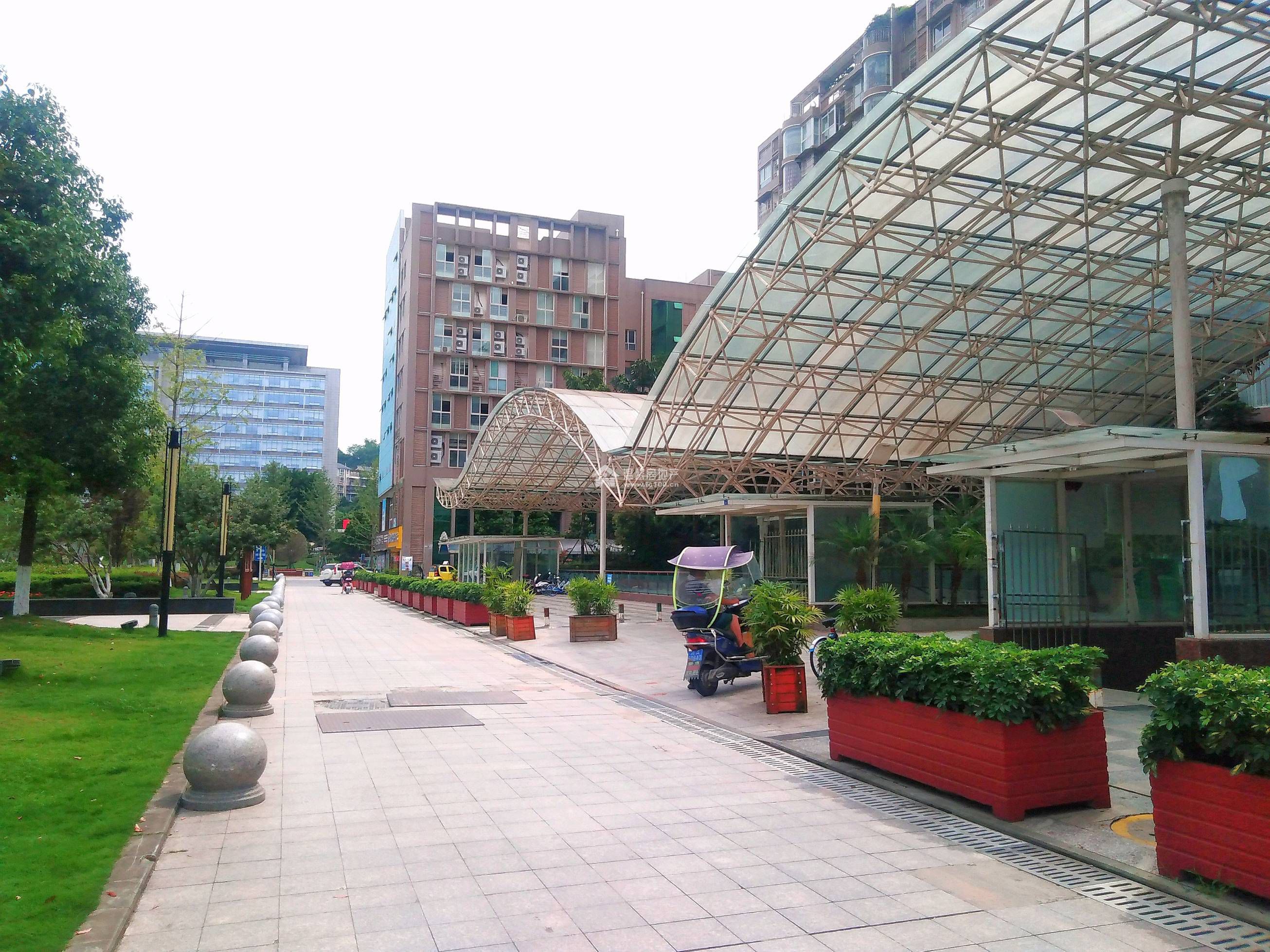 园中苑B区图片