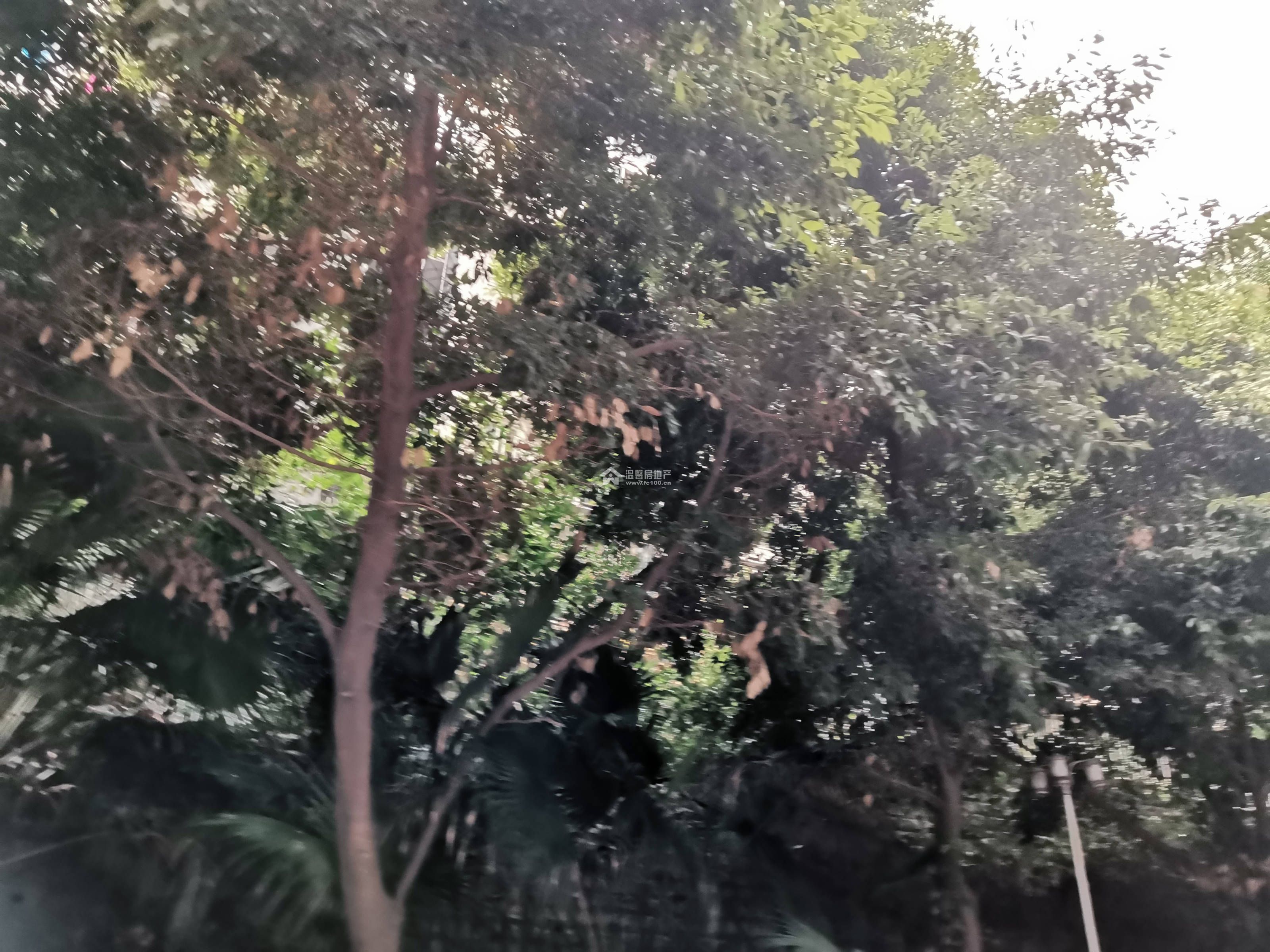 海上花园三期图片