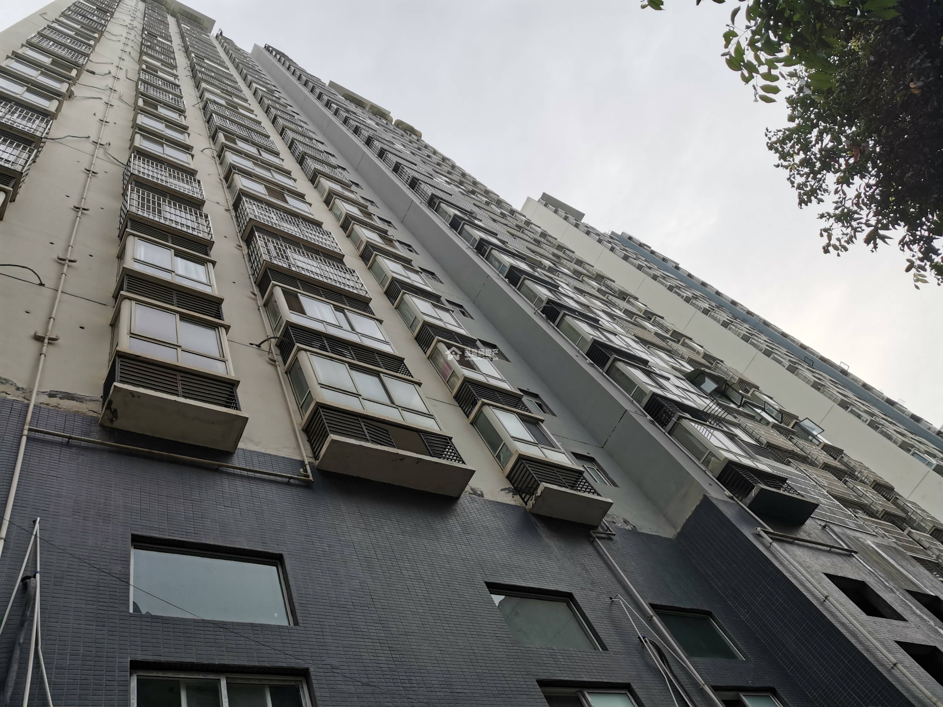 海上花园三期图片