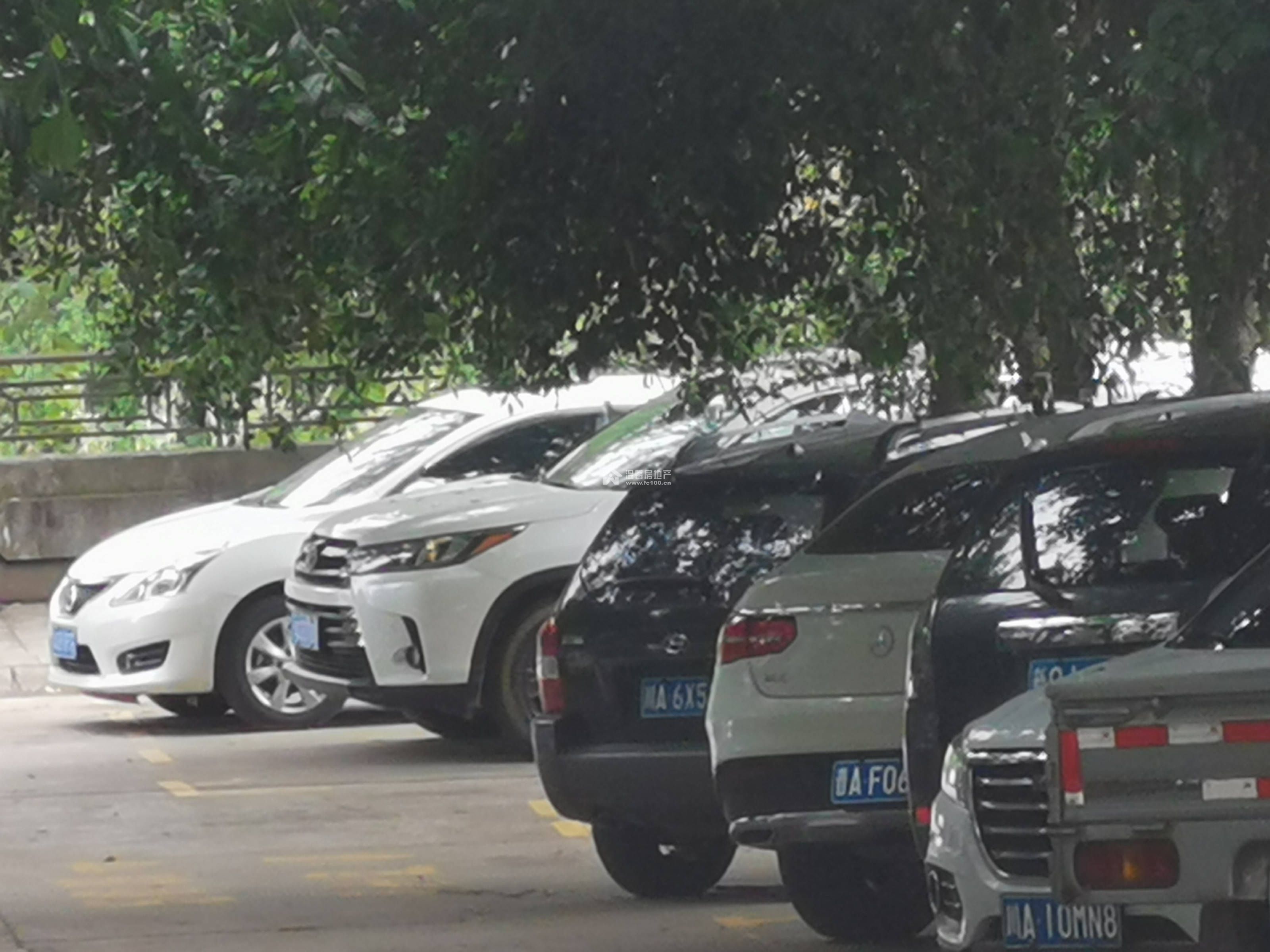 银谷蓝水湾二期图片