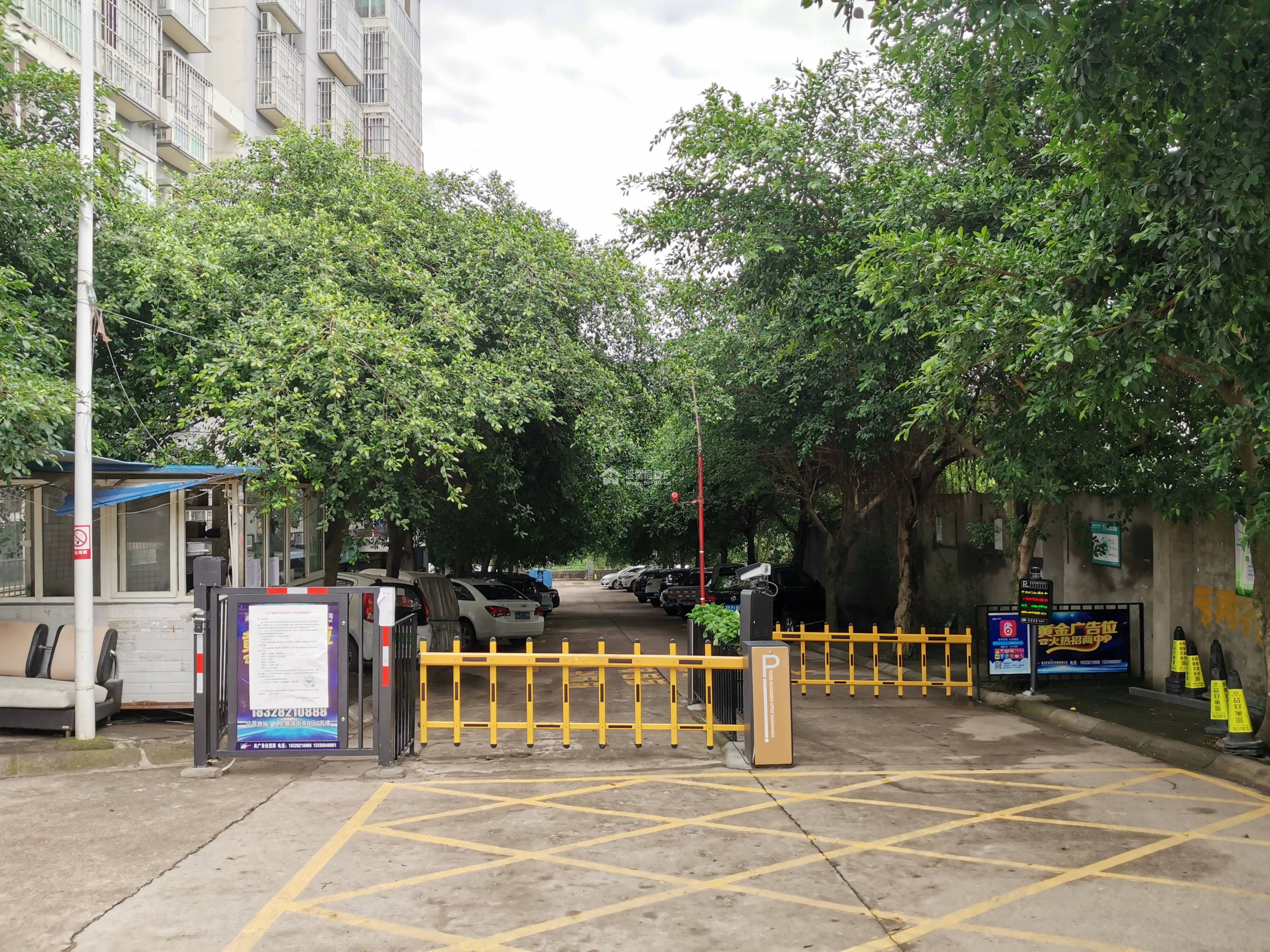 银谷蓝水湾二期图片