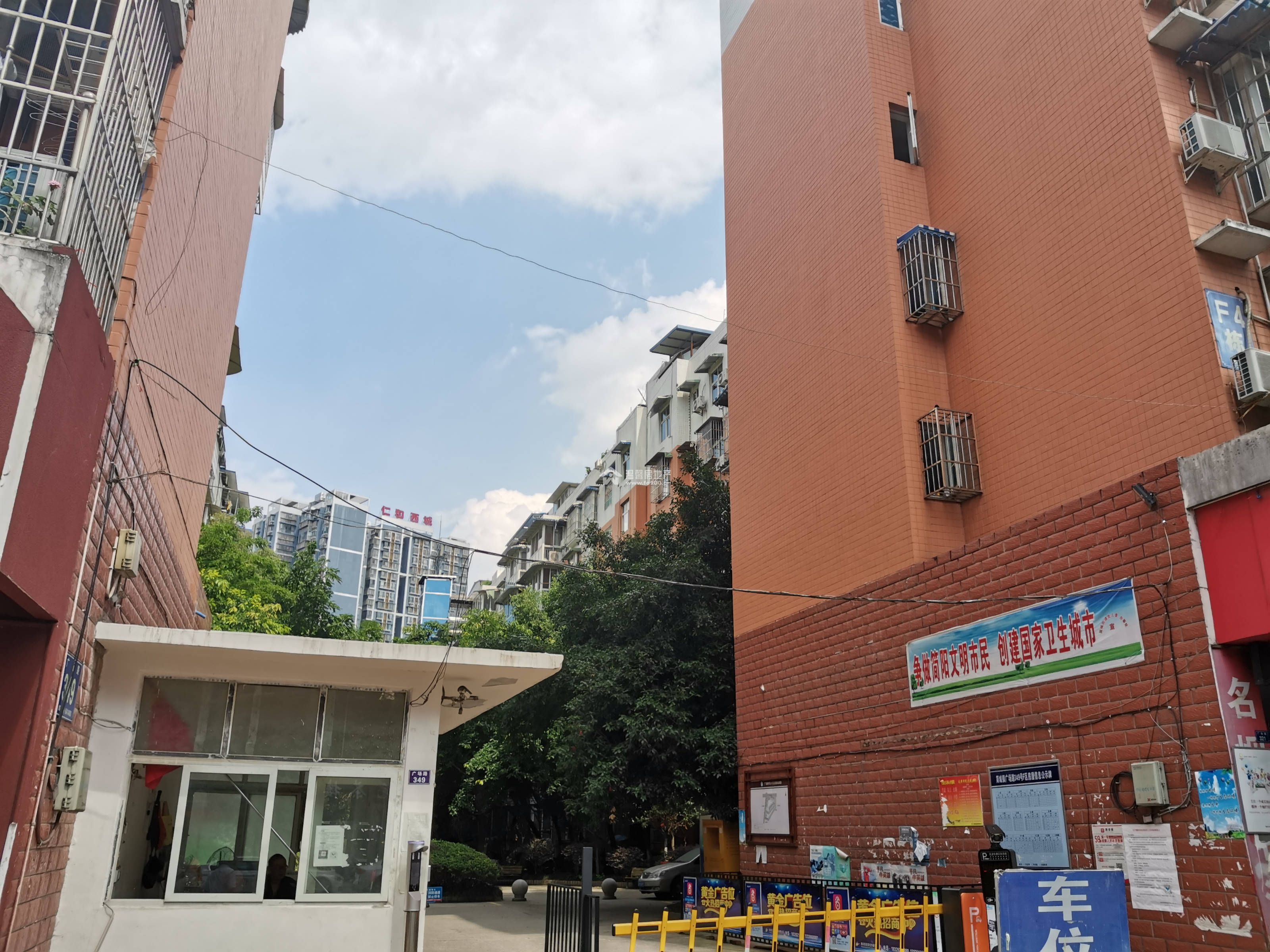 阳晨F区图片