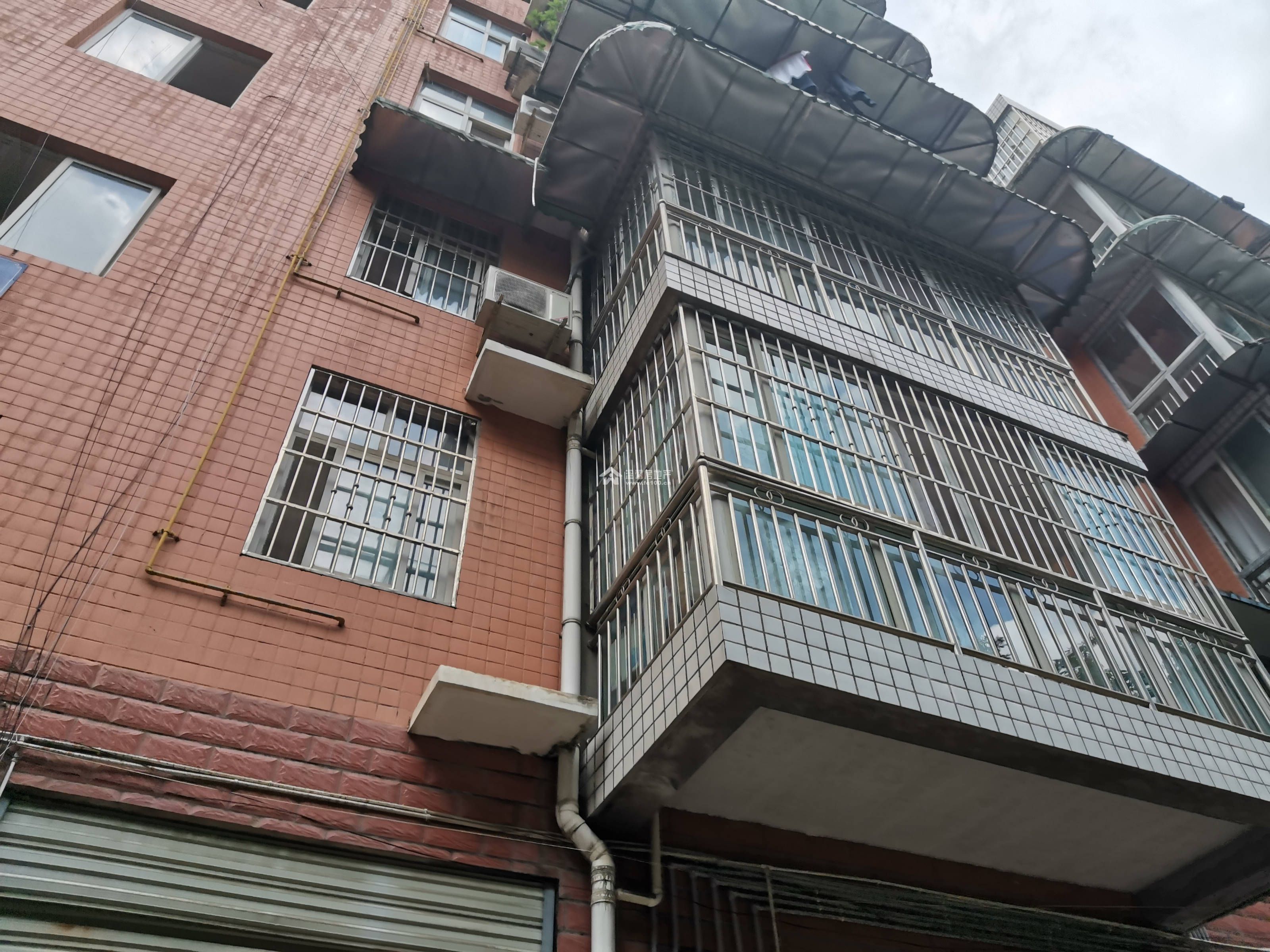 阳晨F区图片