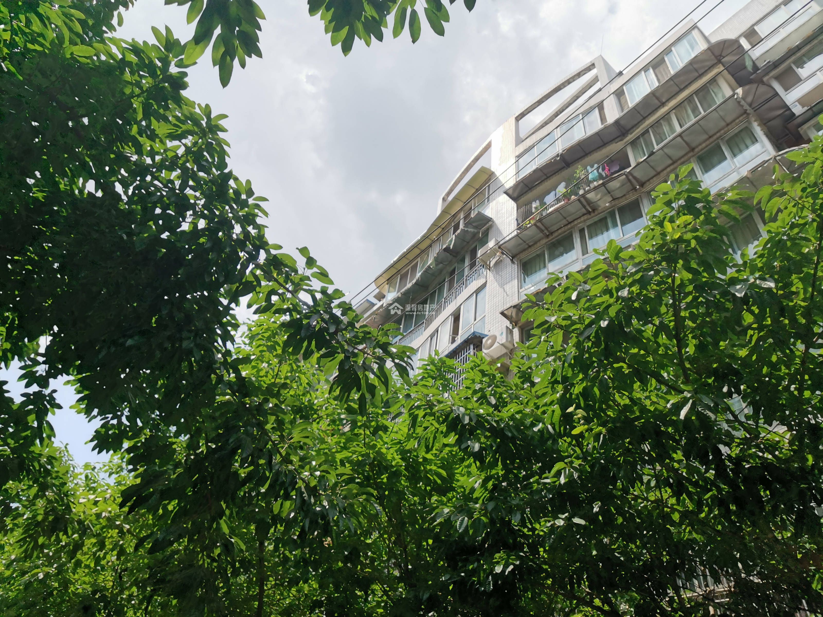 阳晨F区图片