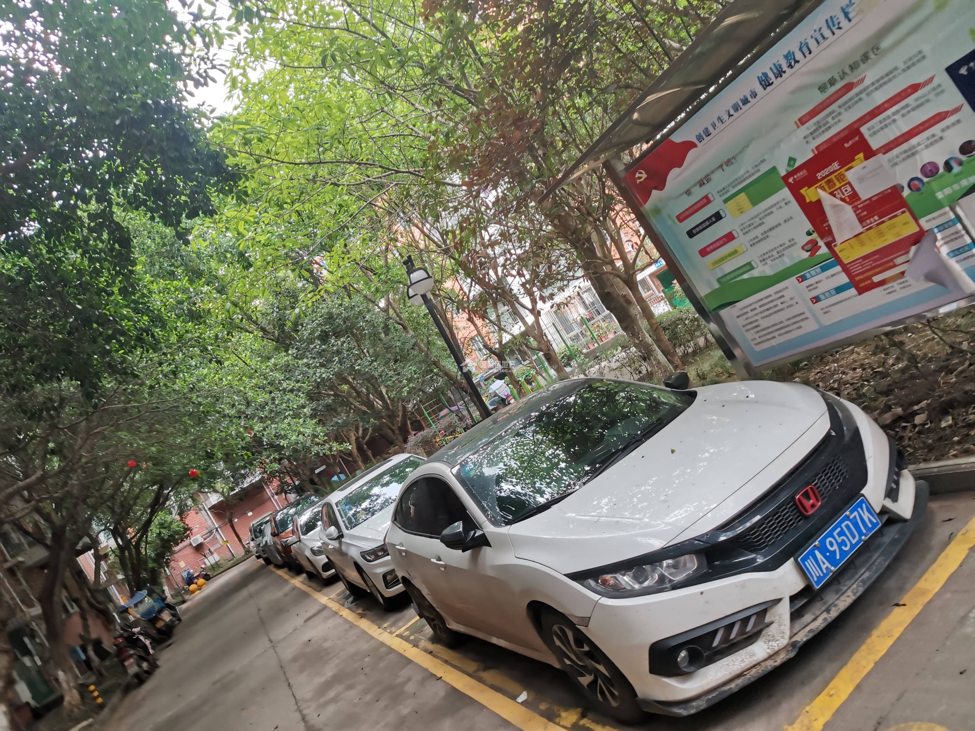 阳晨F区图片