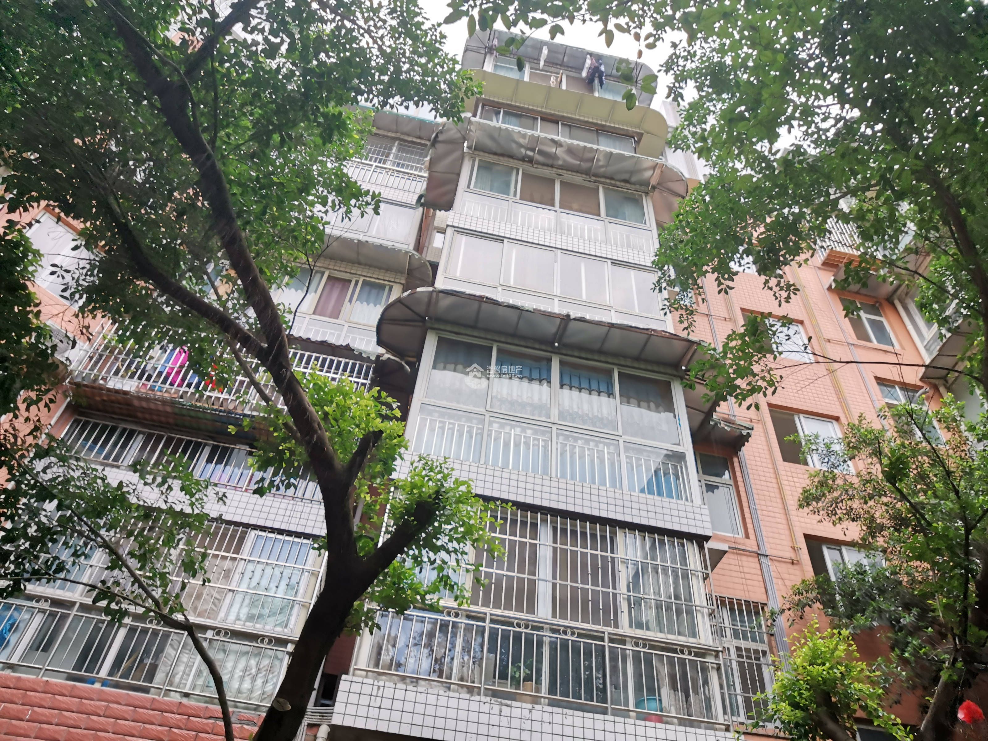 阳晨F区图片
