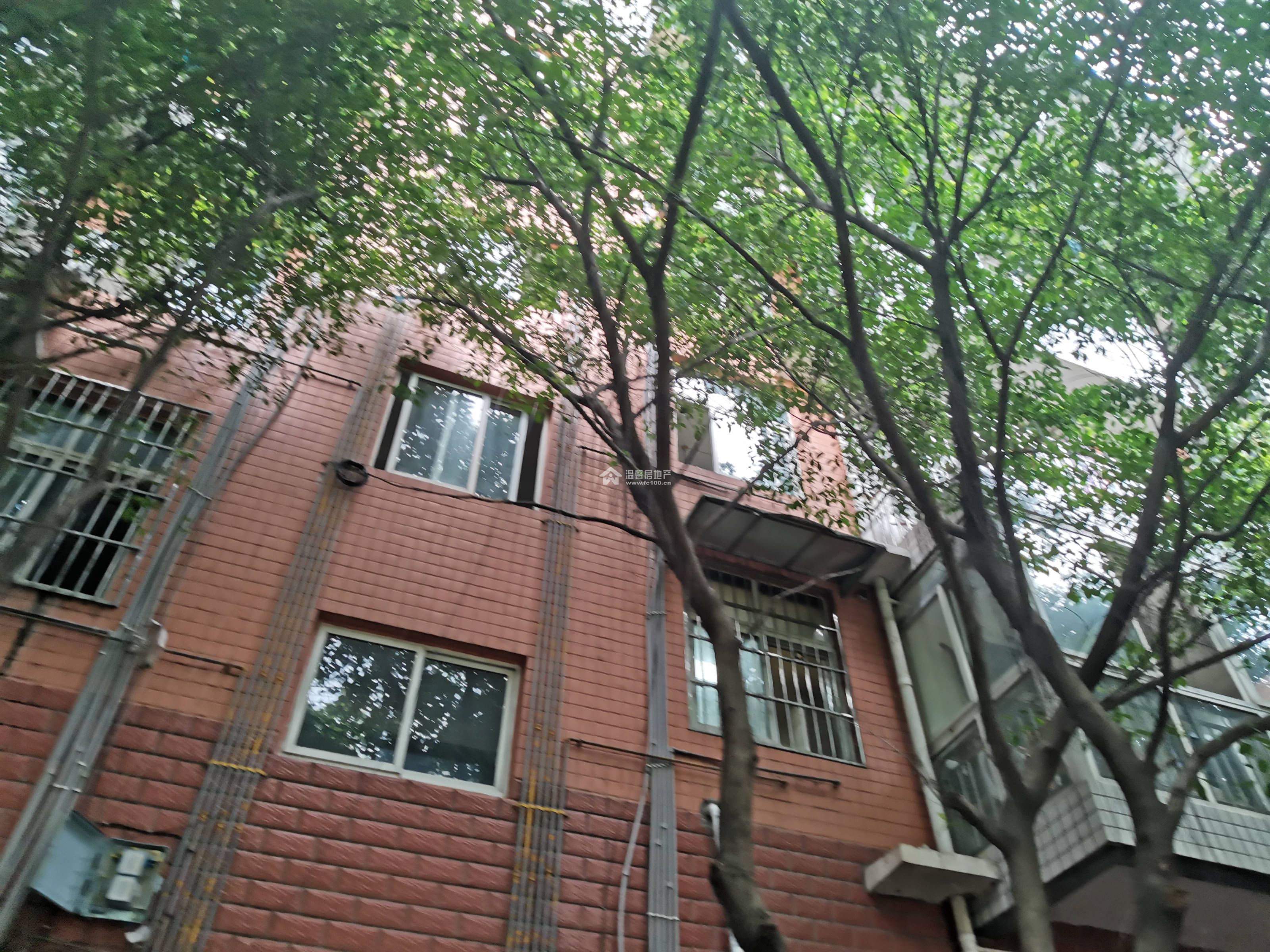 阳晨F区图片