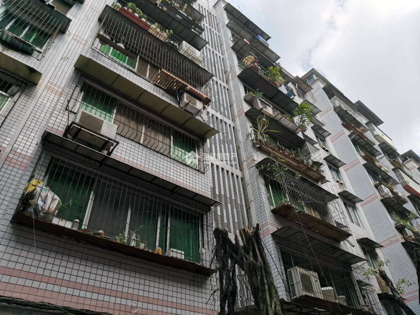 宏发苑B区图片