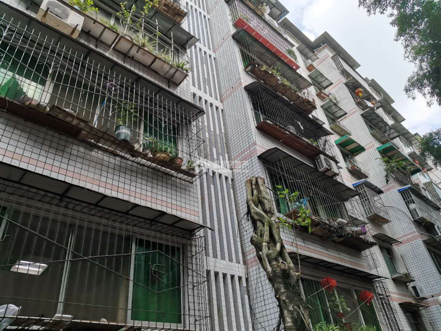 宏发苑B区图片