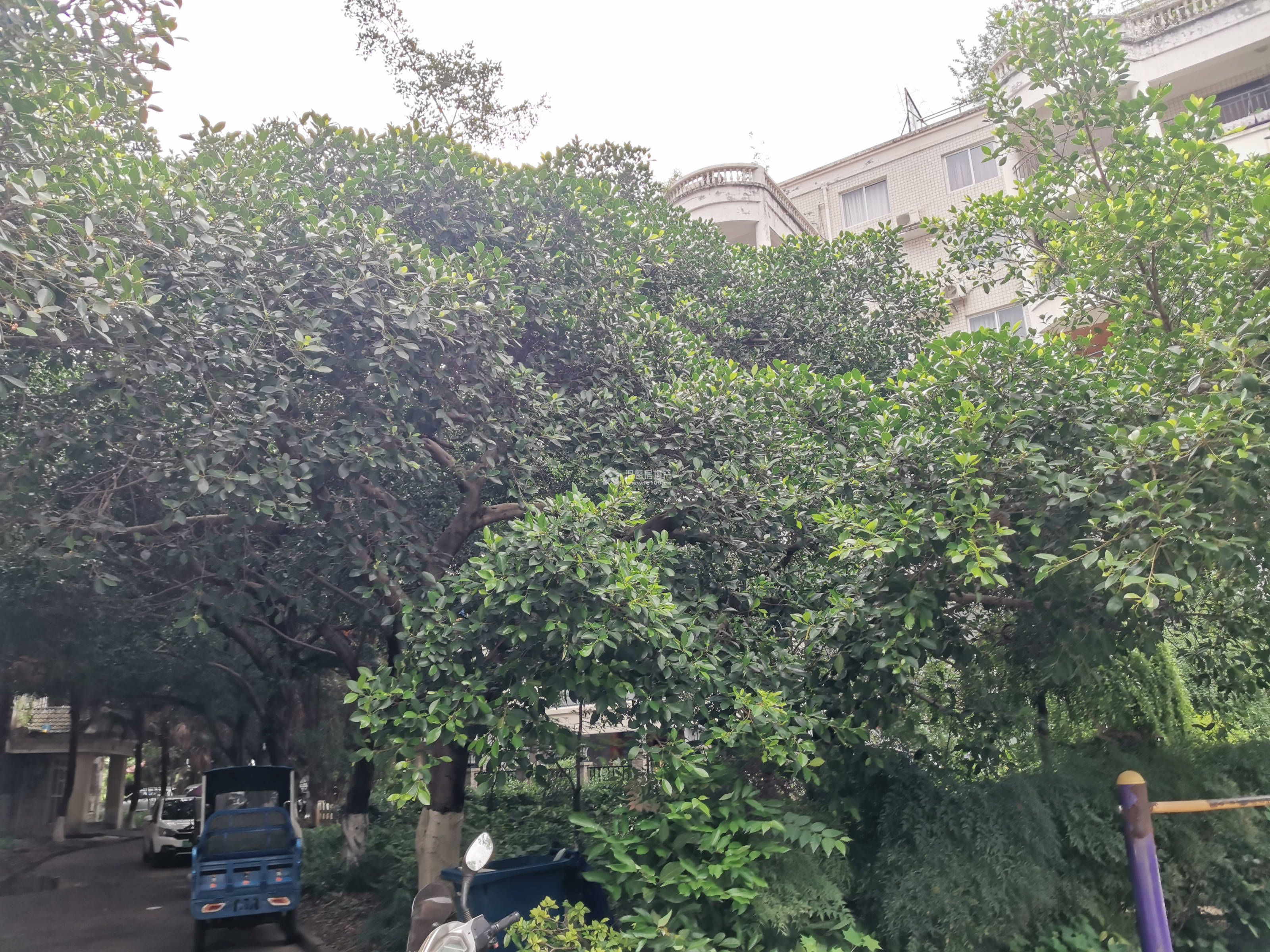 河景馨城B区图片