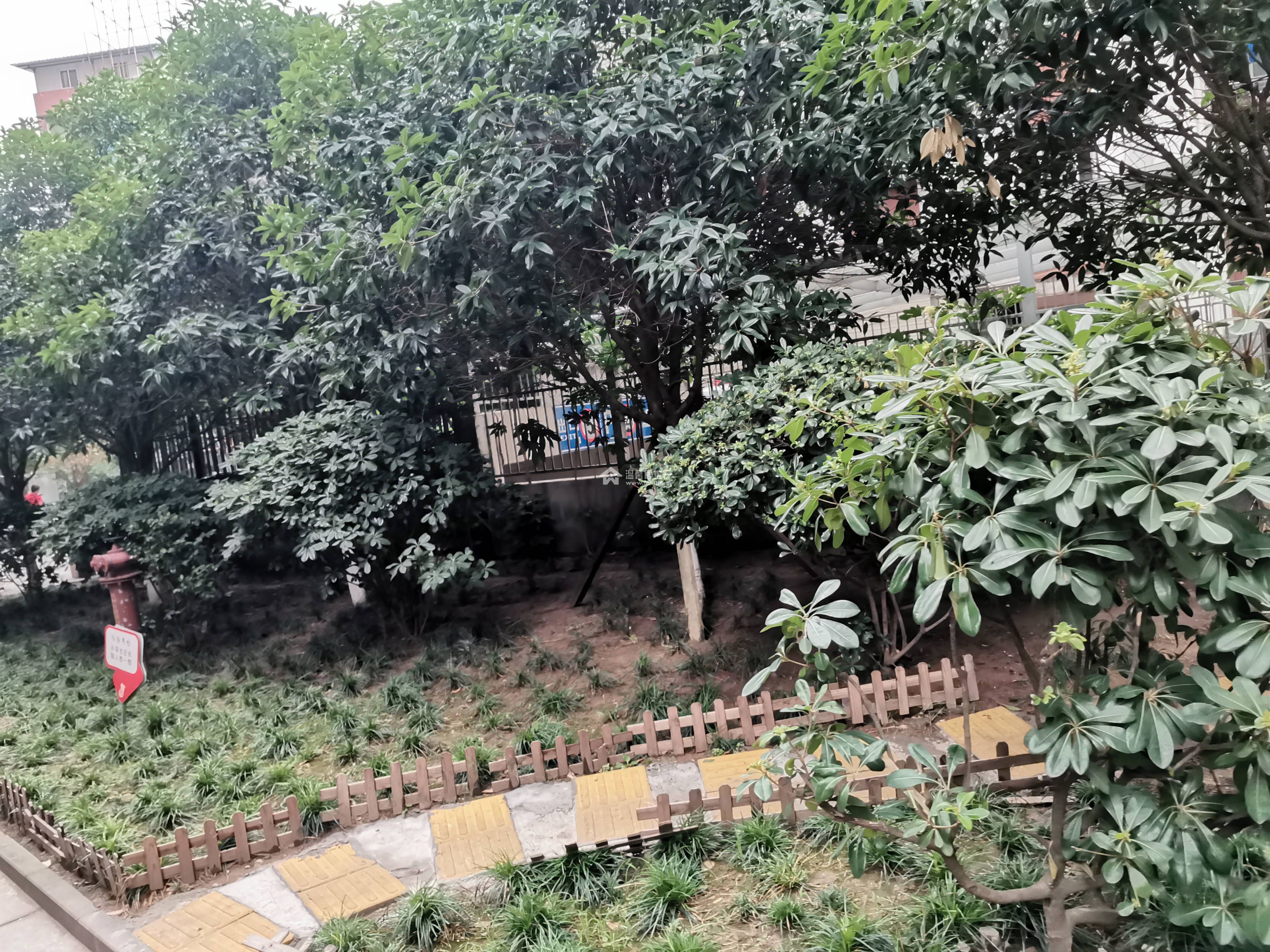 河景馨城B区图片