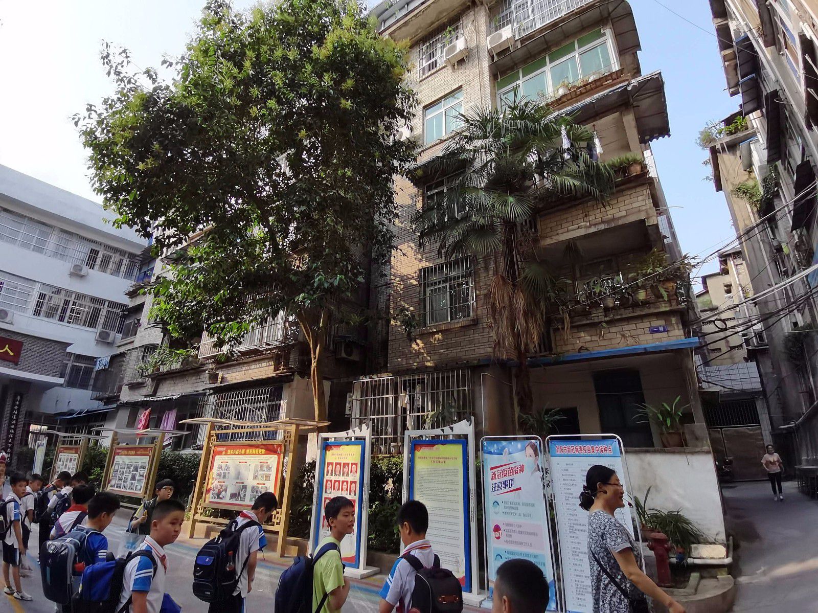 西街简城一小图片