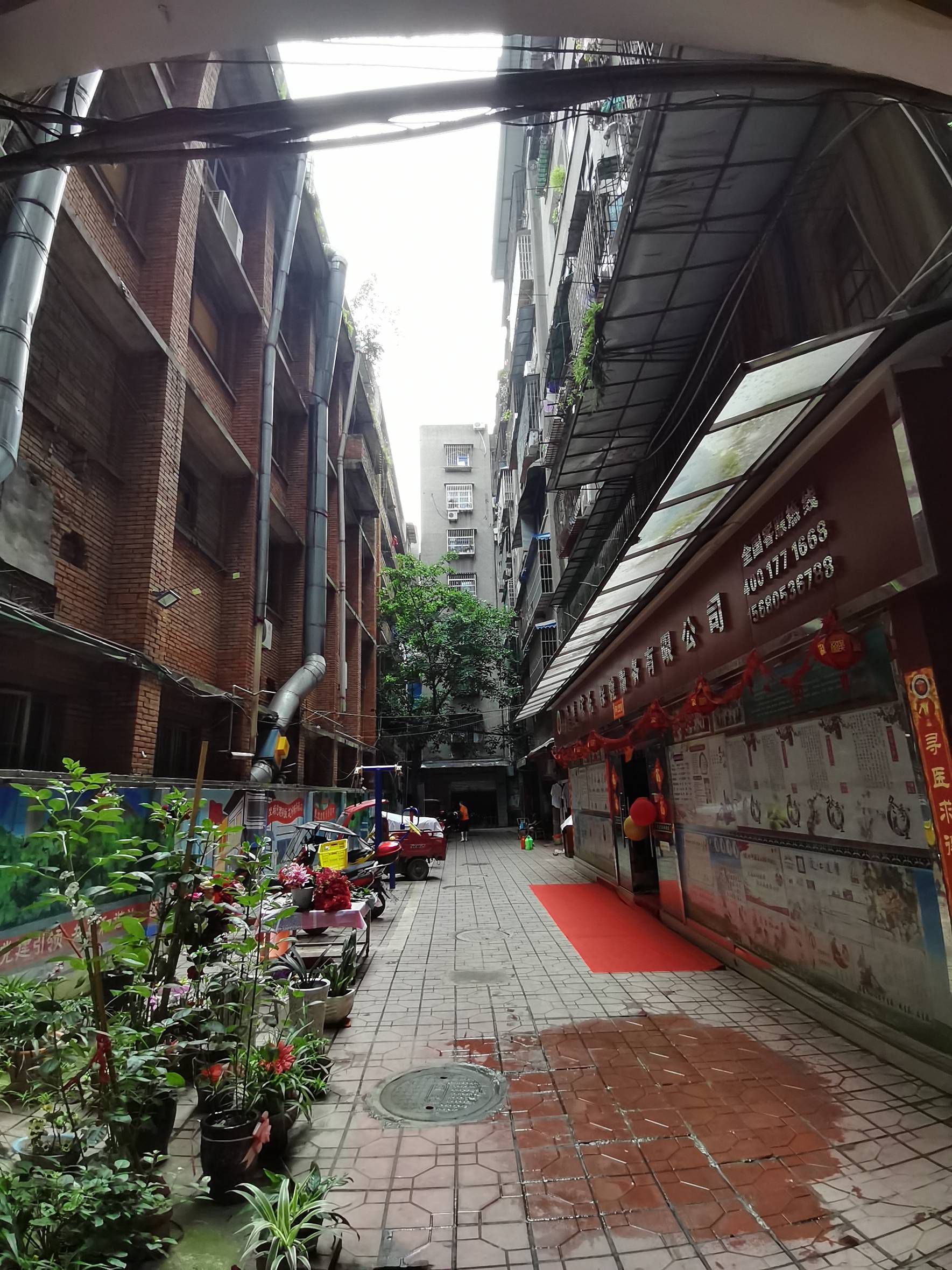 正中街又一春图片