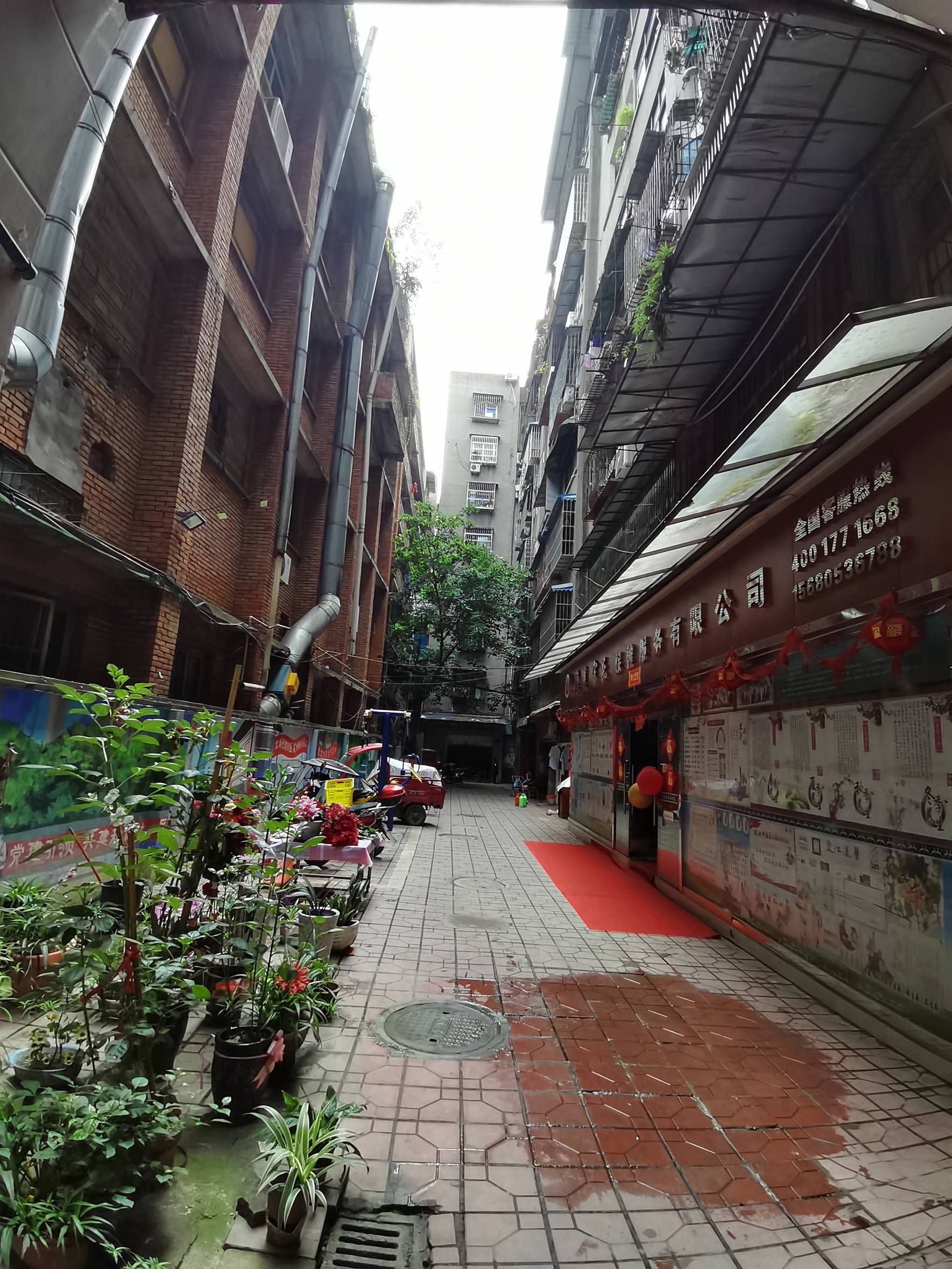 正中街又一春图片