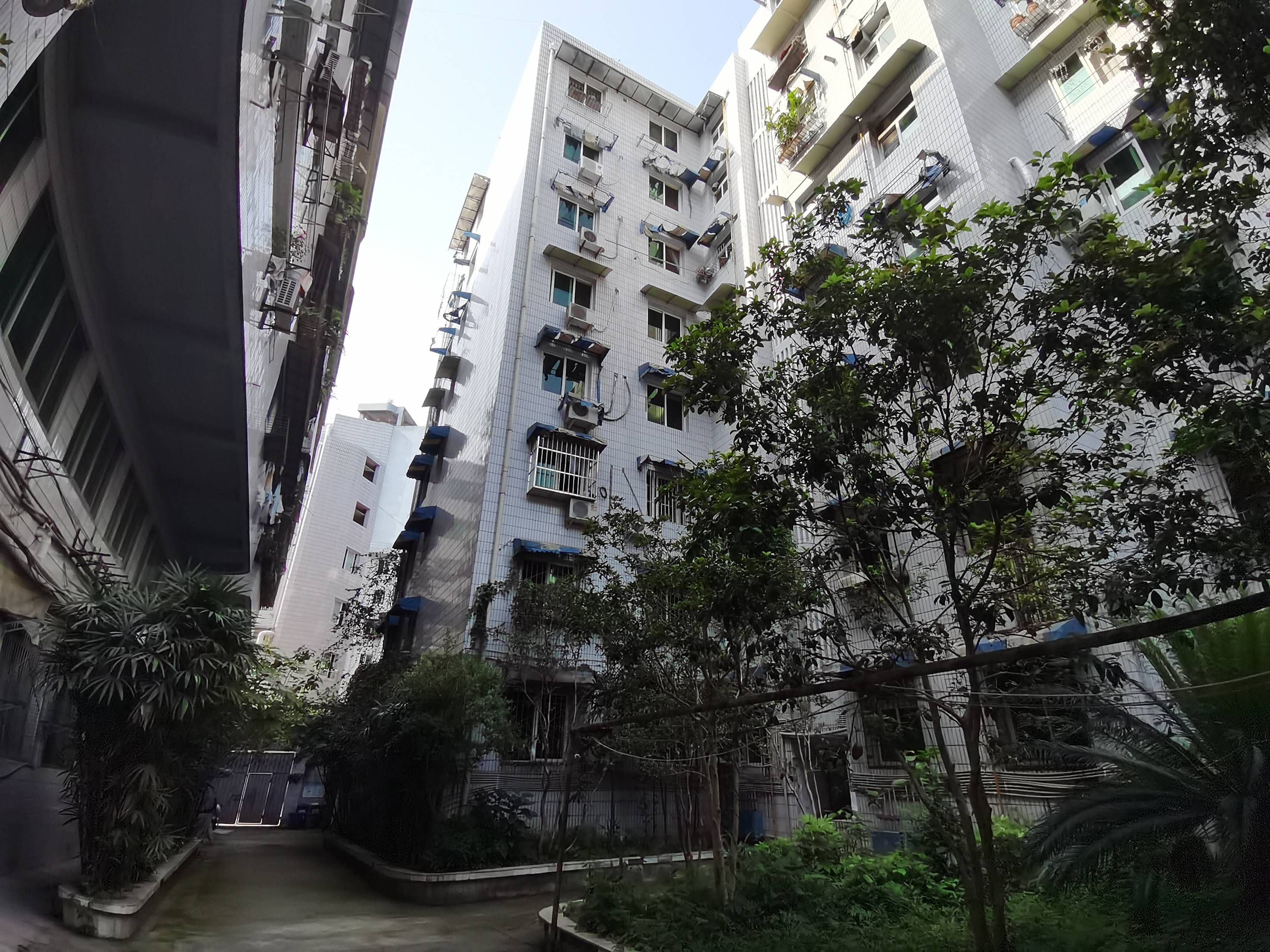 烟草公司宿舍（建设中路）图片
