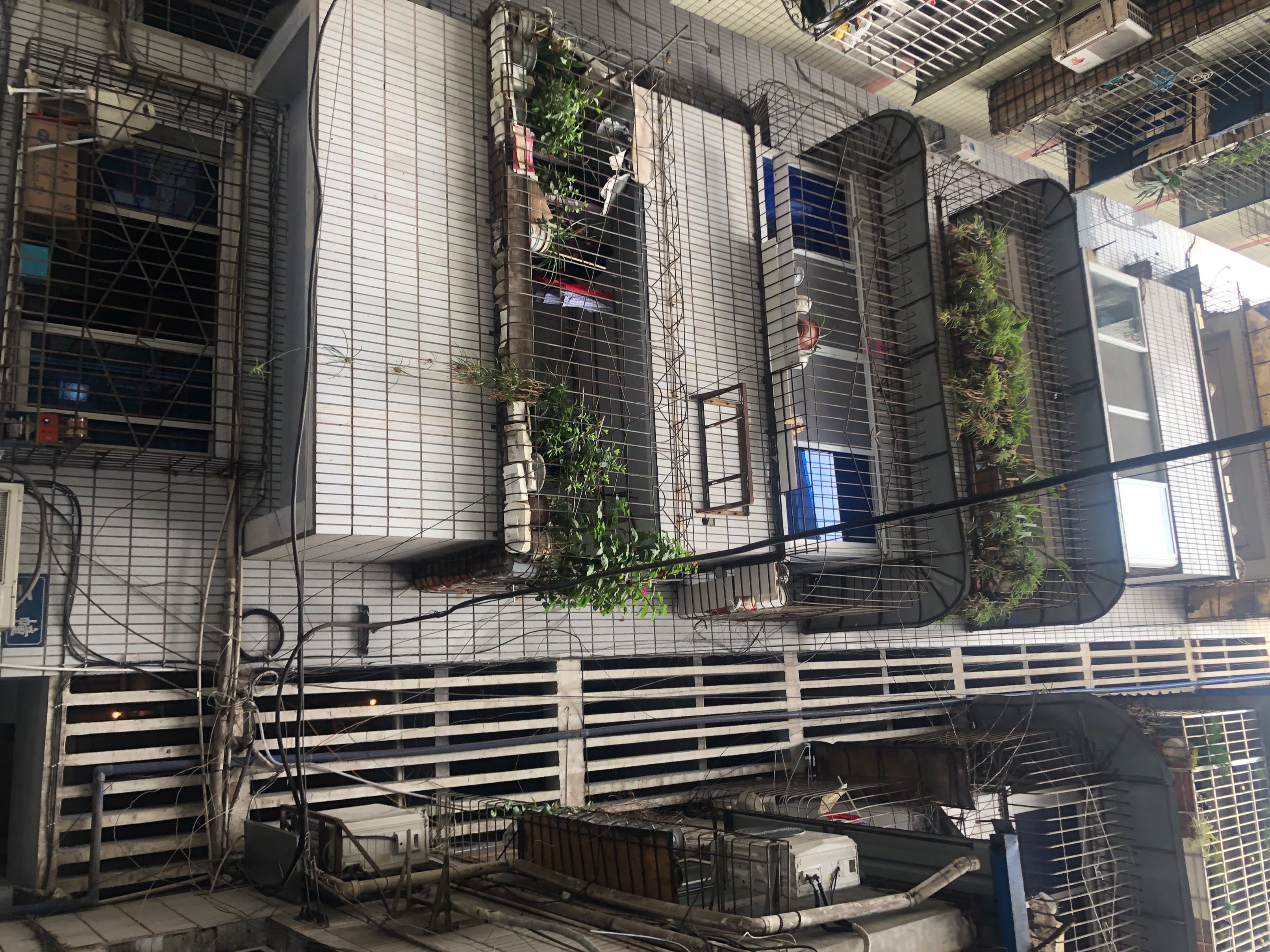国税局宿舍(红建路北段)图片