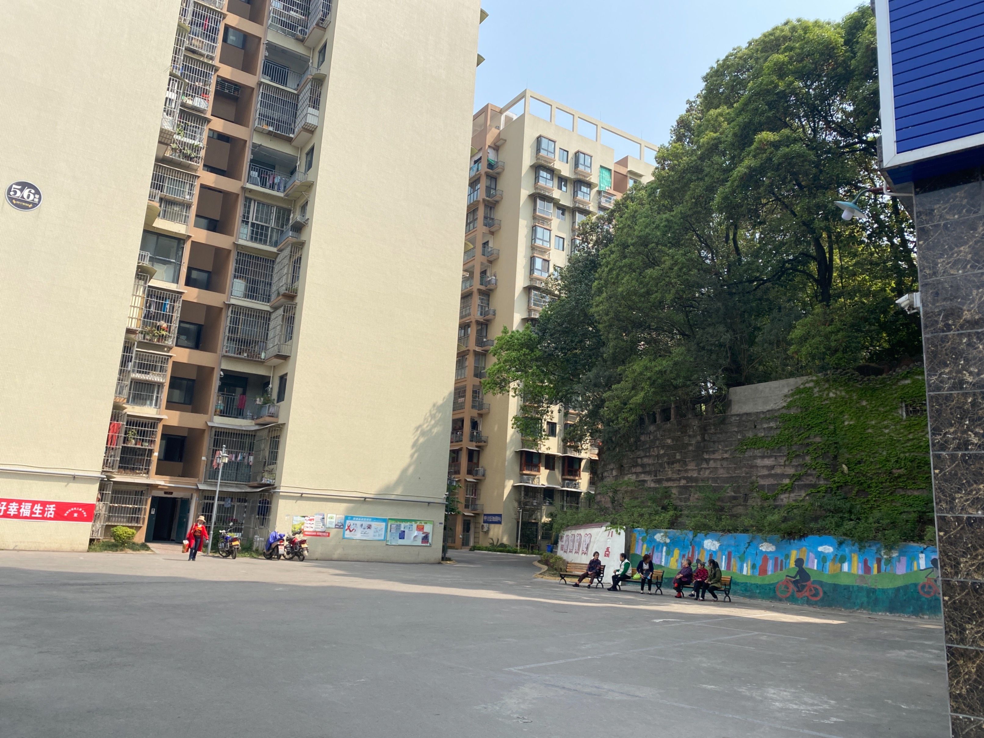 川空家园图片