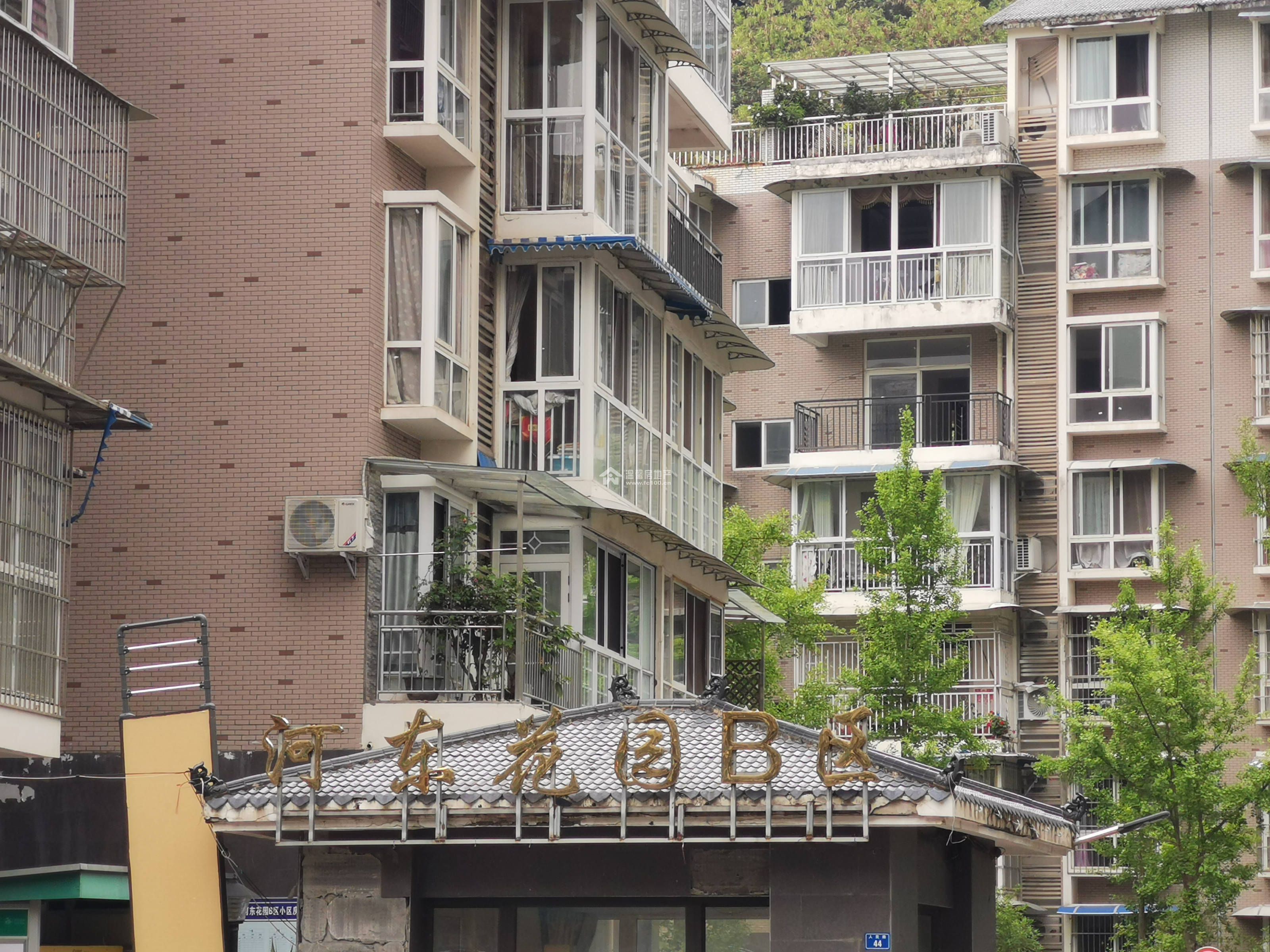 河东花园B区图片