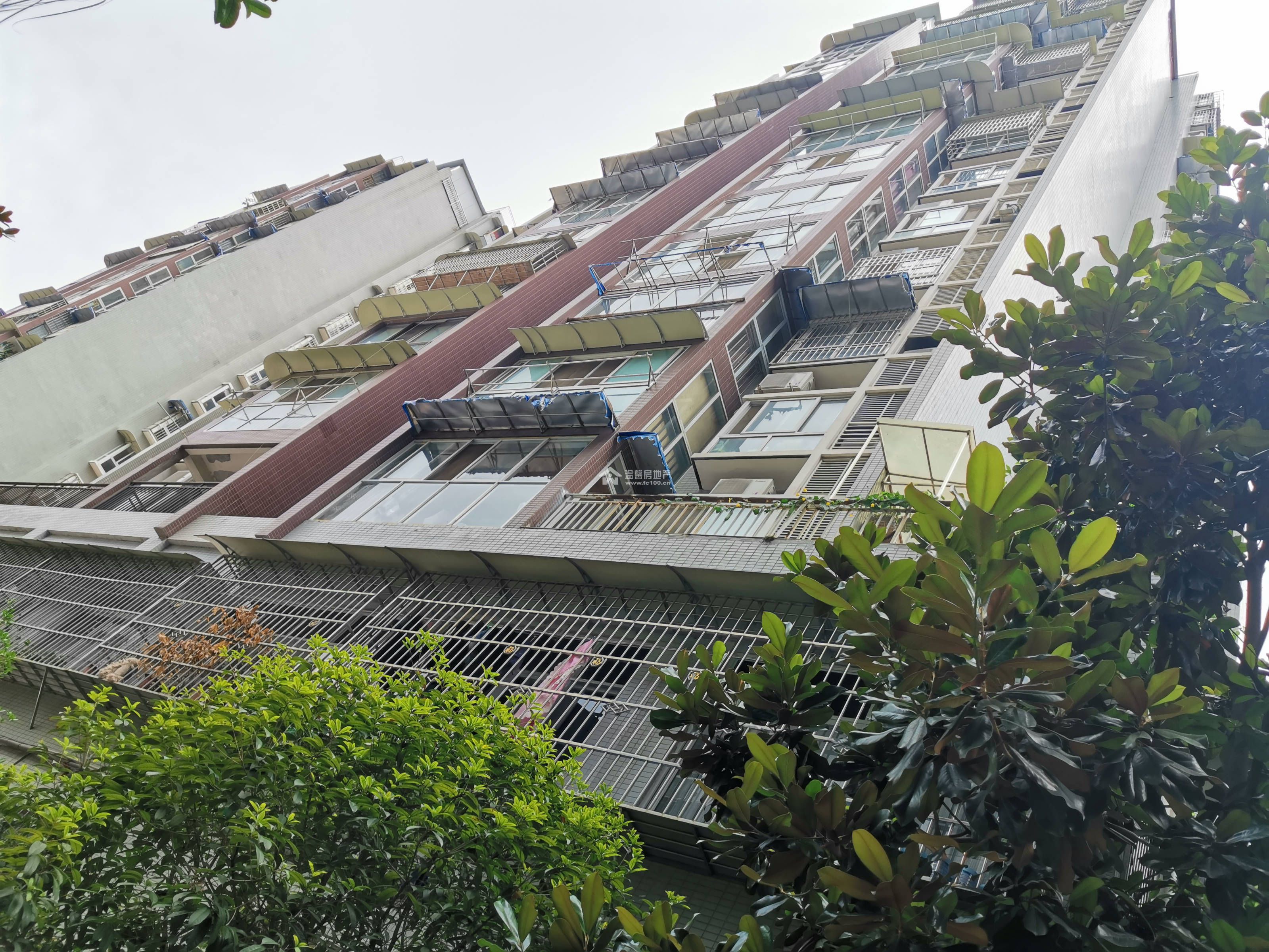 香江逸景图片