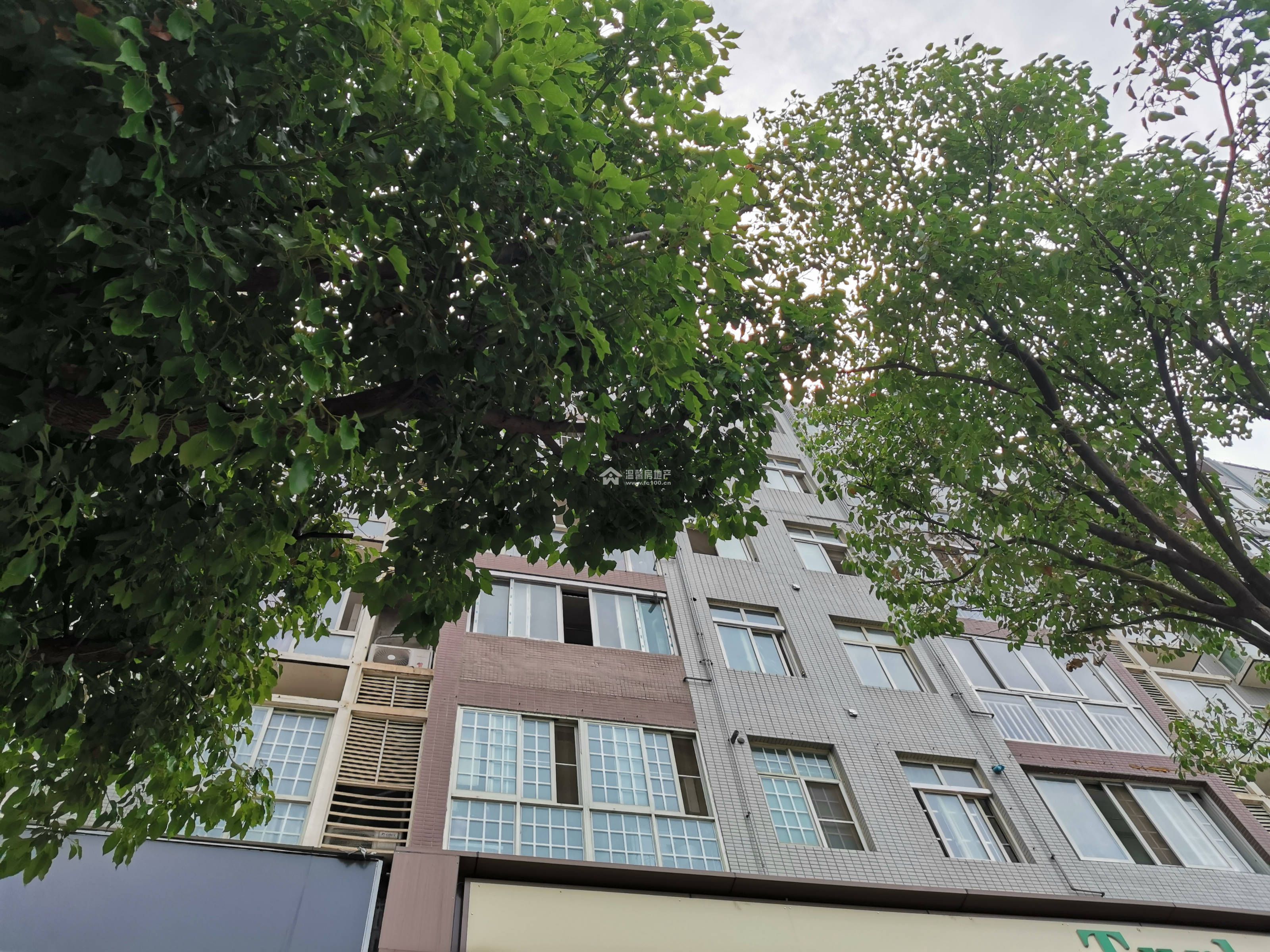 香江逸景图片