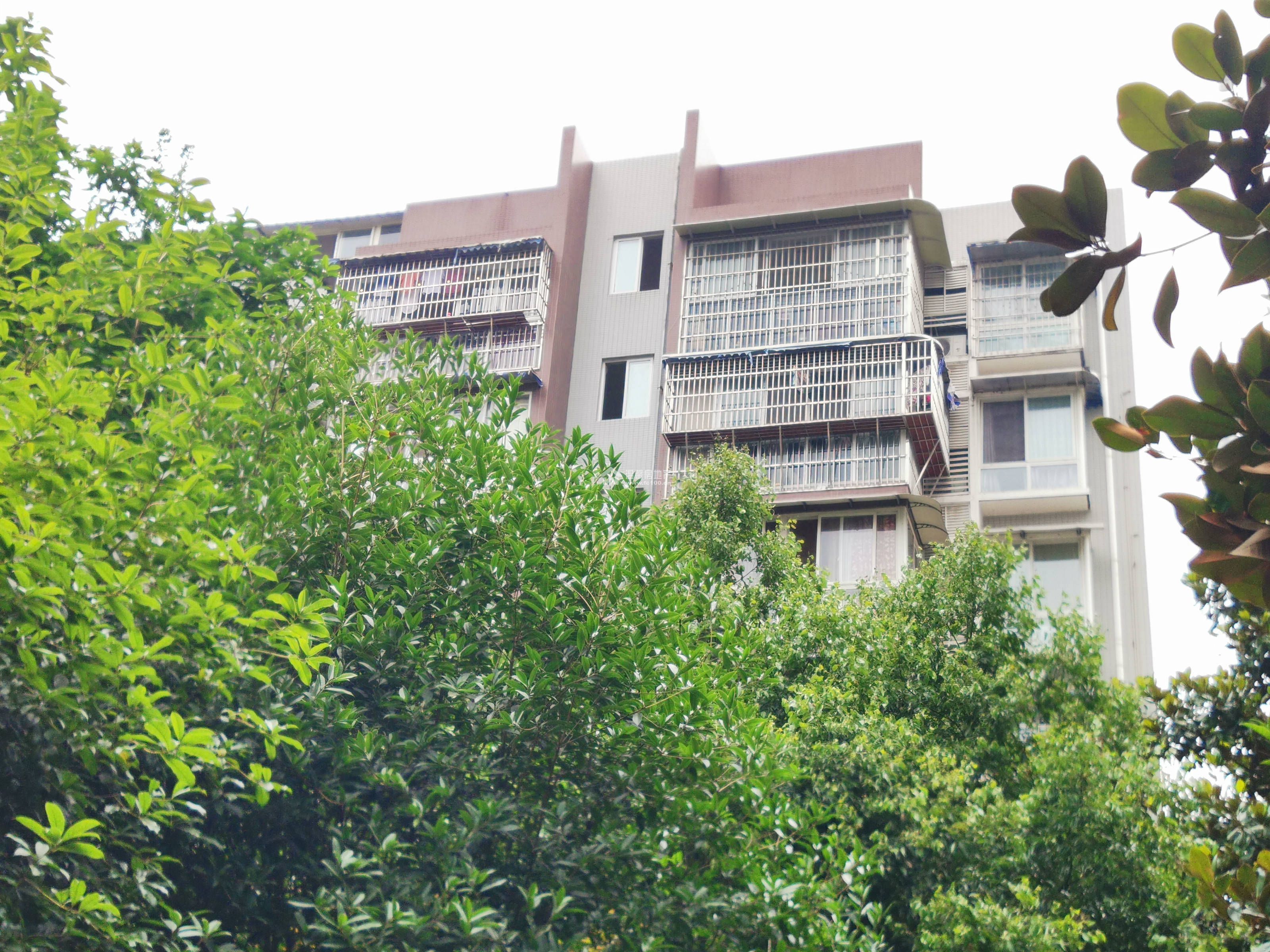 香江逸景图片