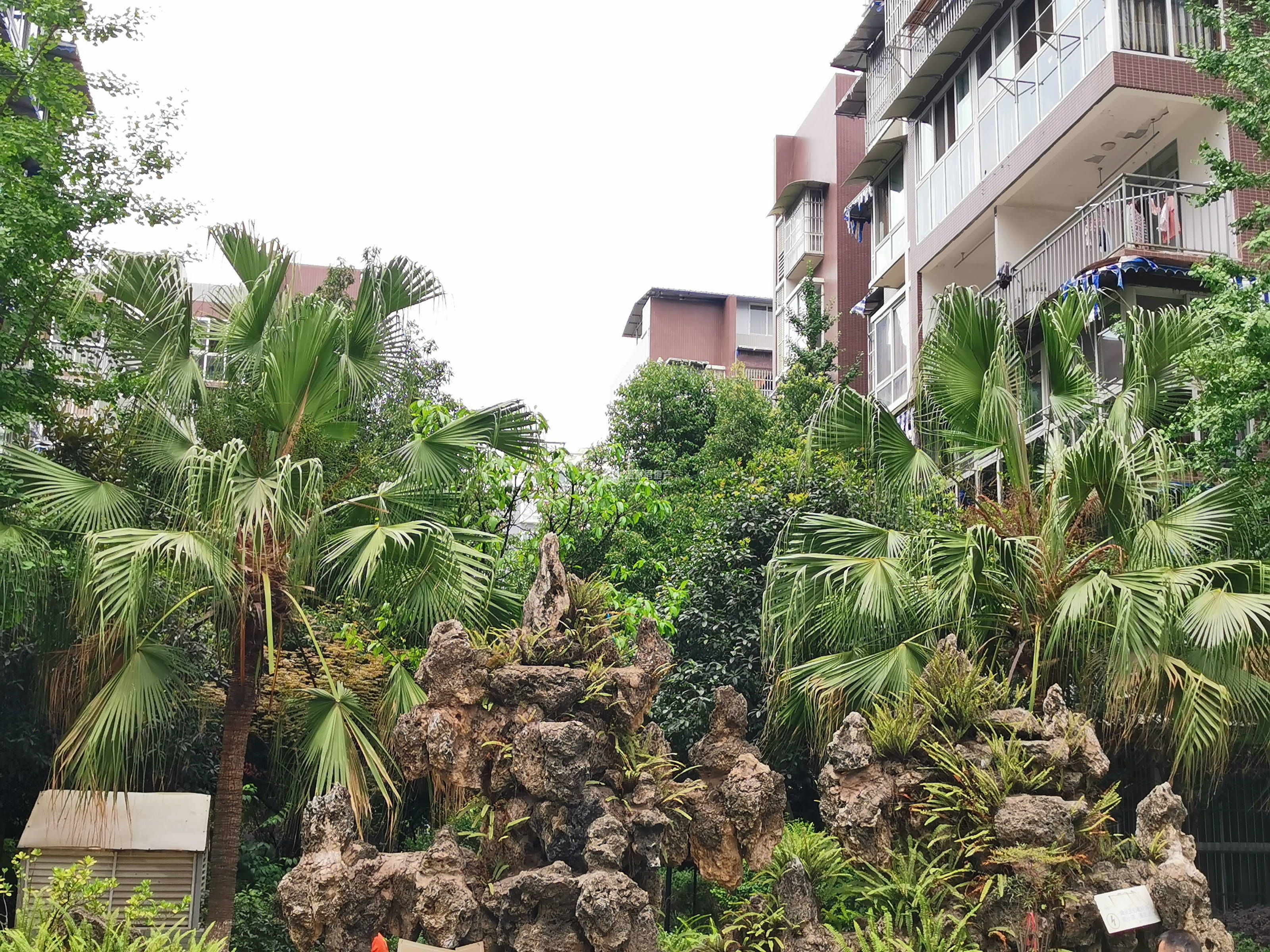 香江逸景图片