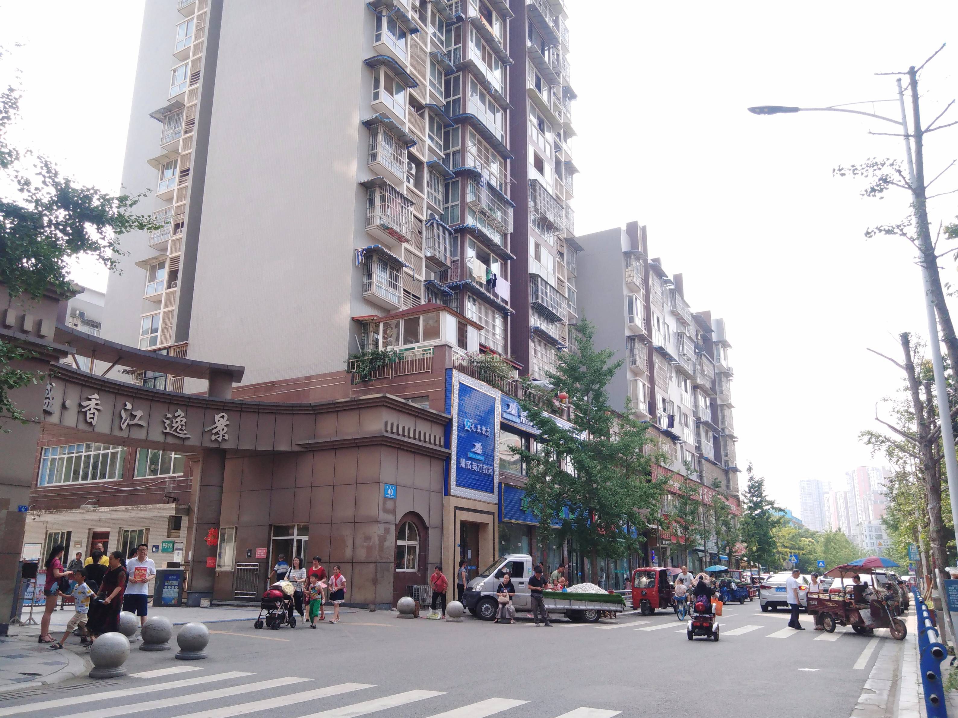 香江逸景图片