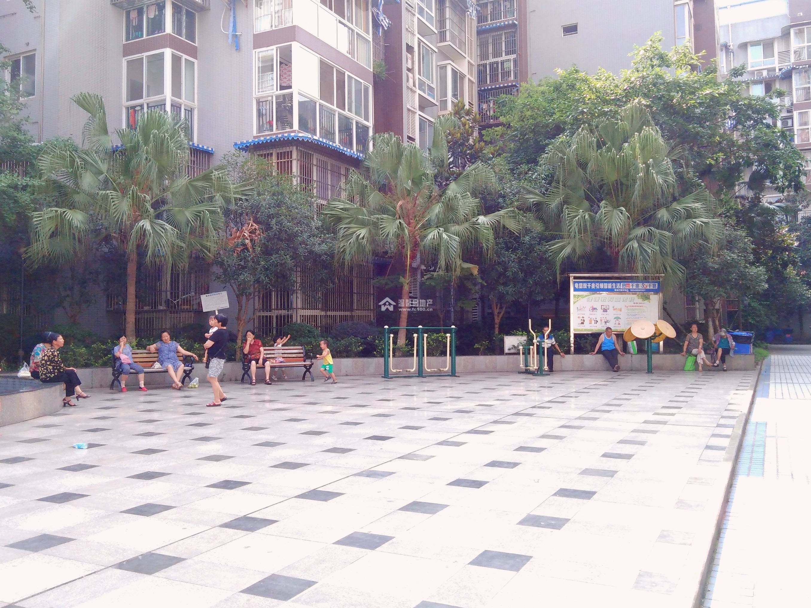 香江逸景图片