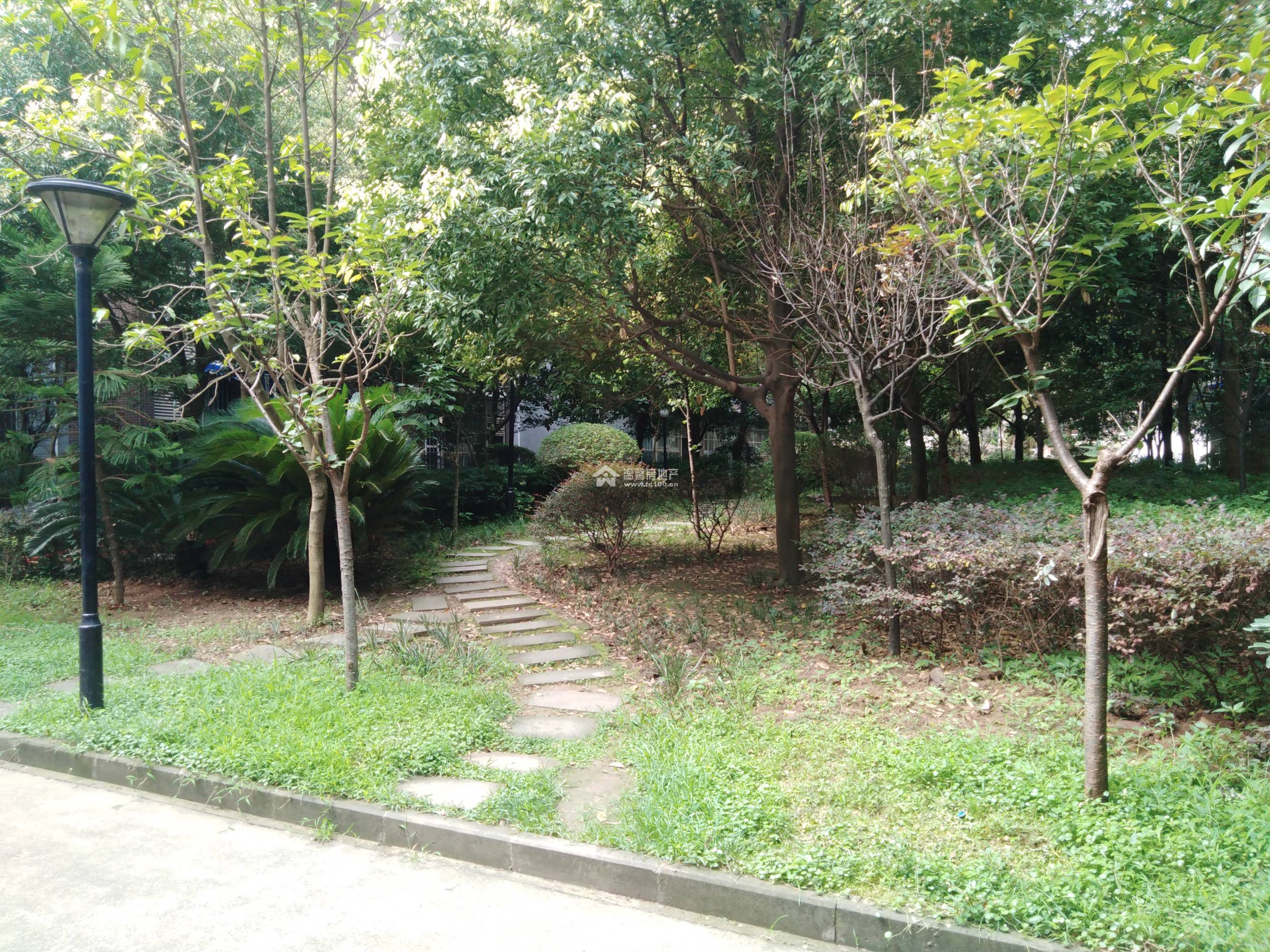 香江逸景图片