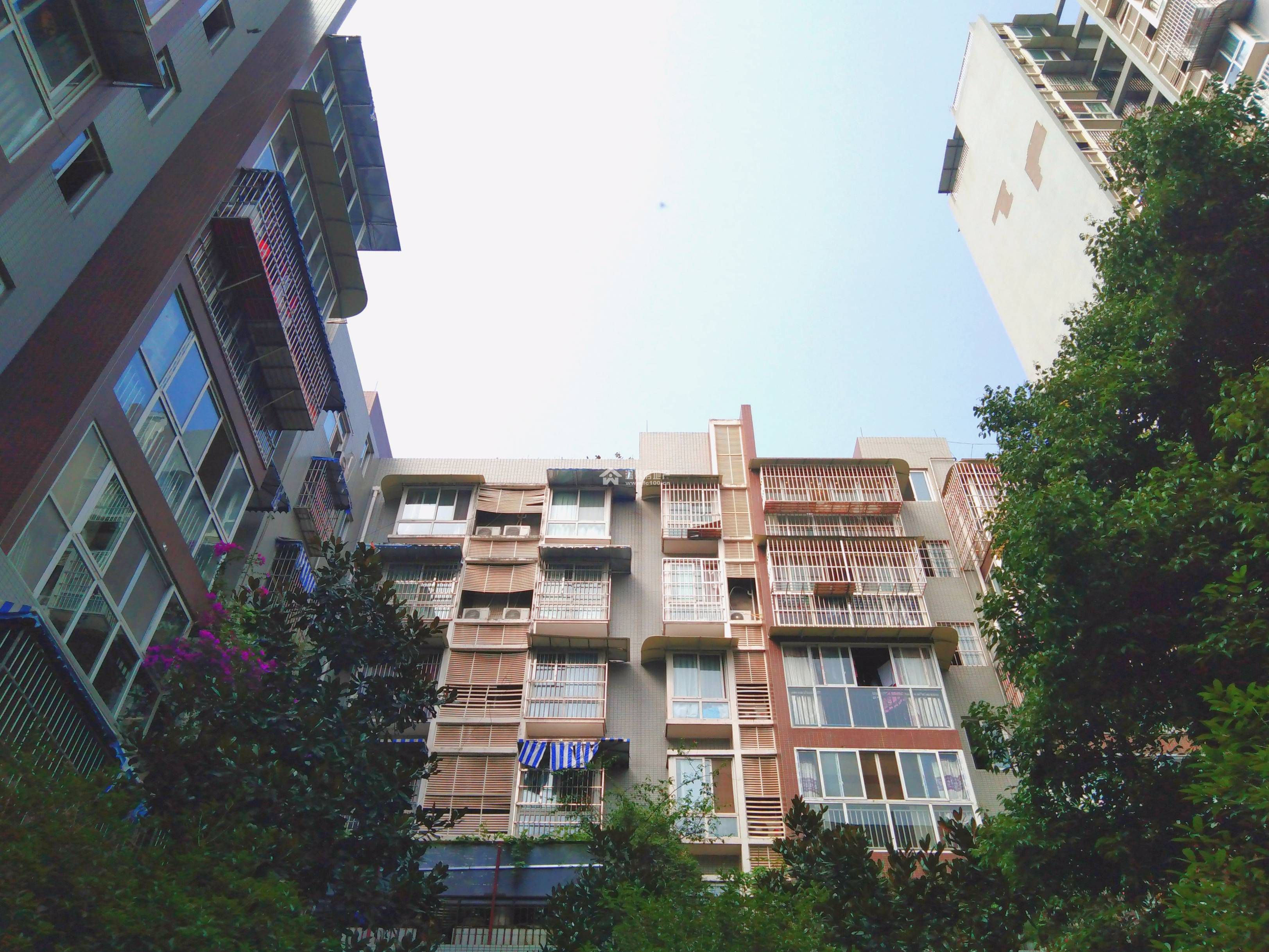香江逸景图片