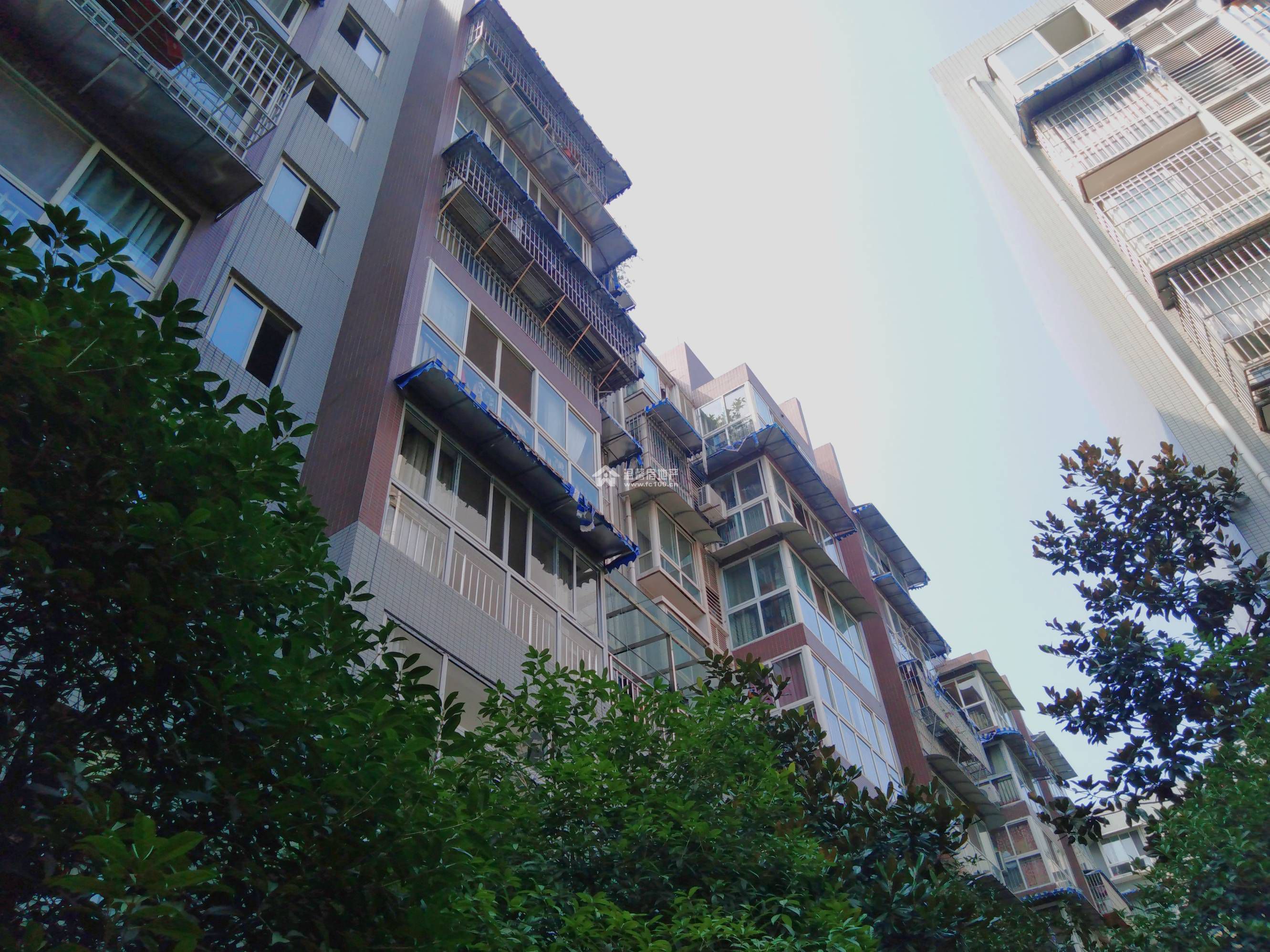 香江逸景图片