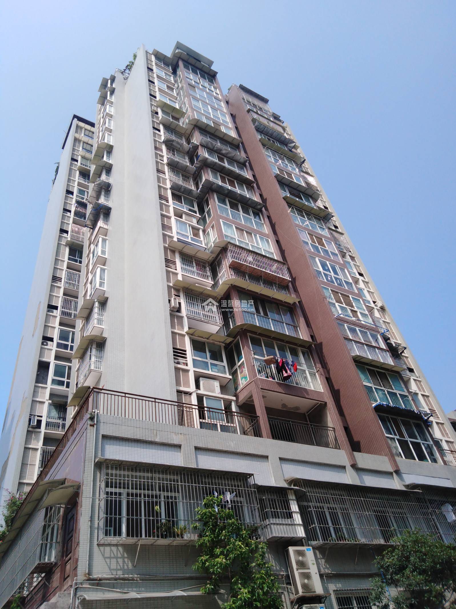 香江逸景图片