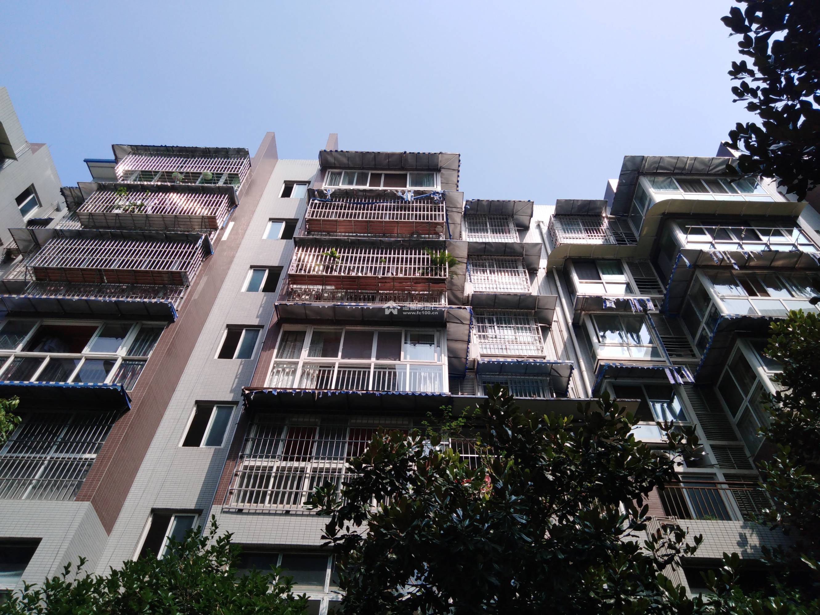 香江逸景图片