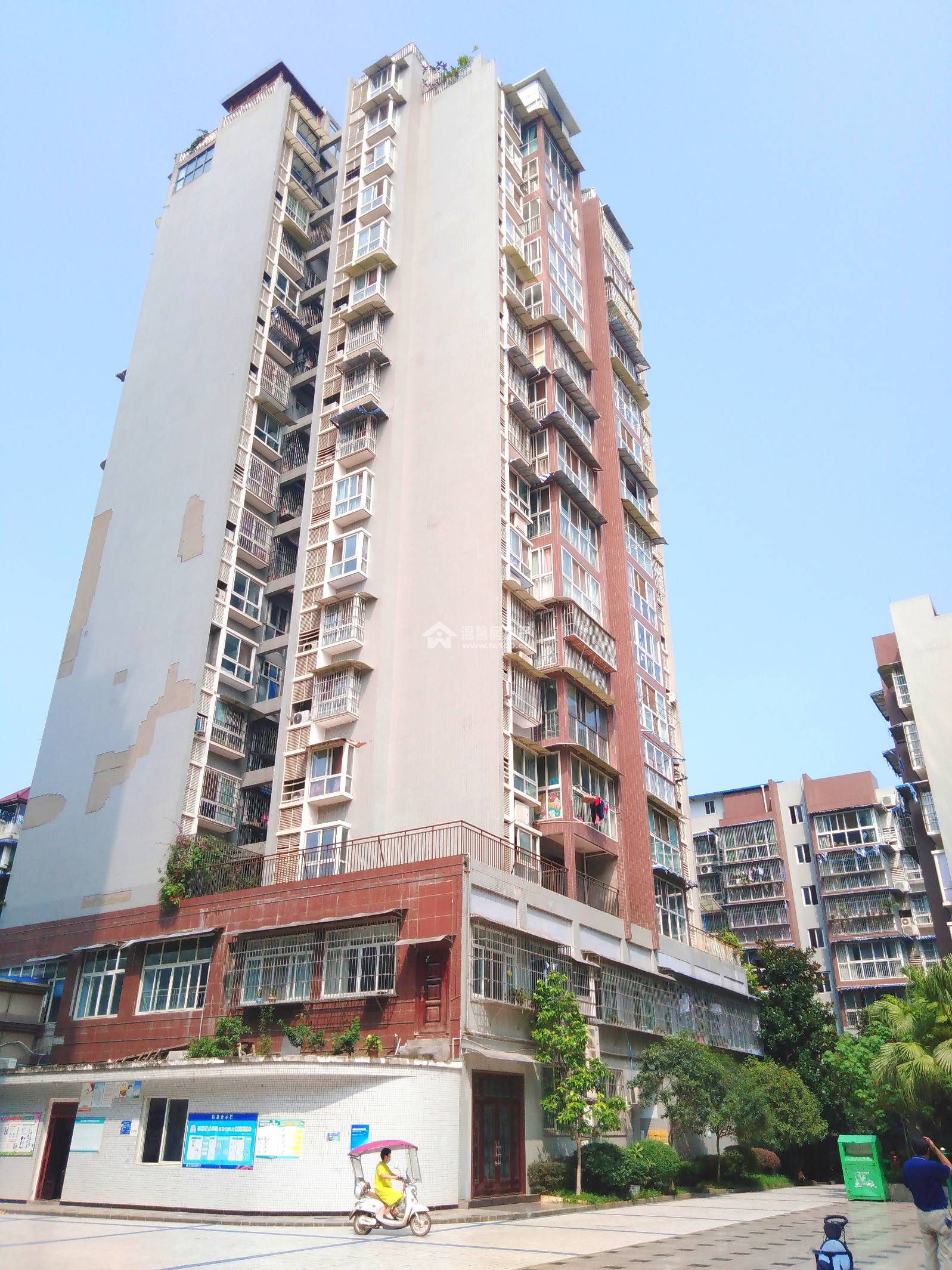 香江逸景图片
