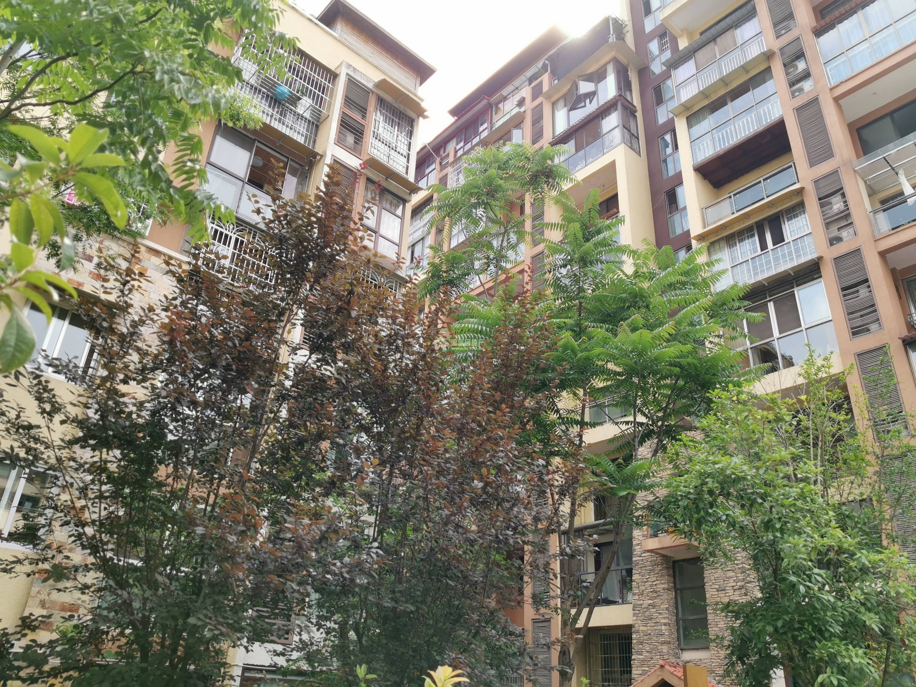 香山和苑图片