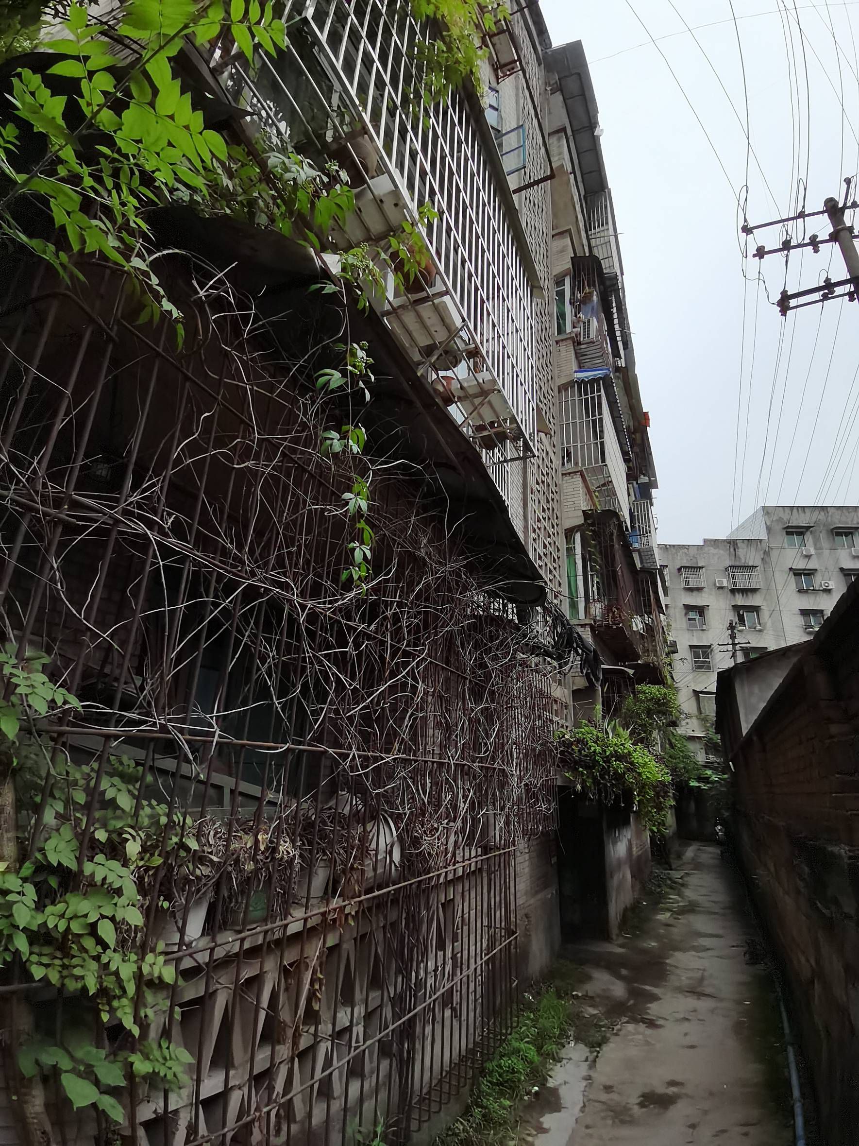 酿造厂图片