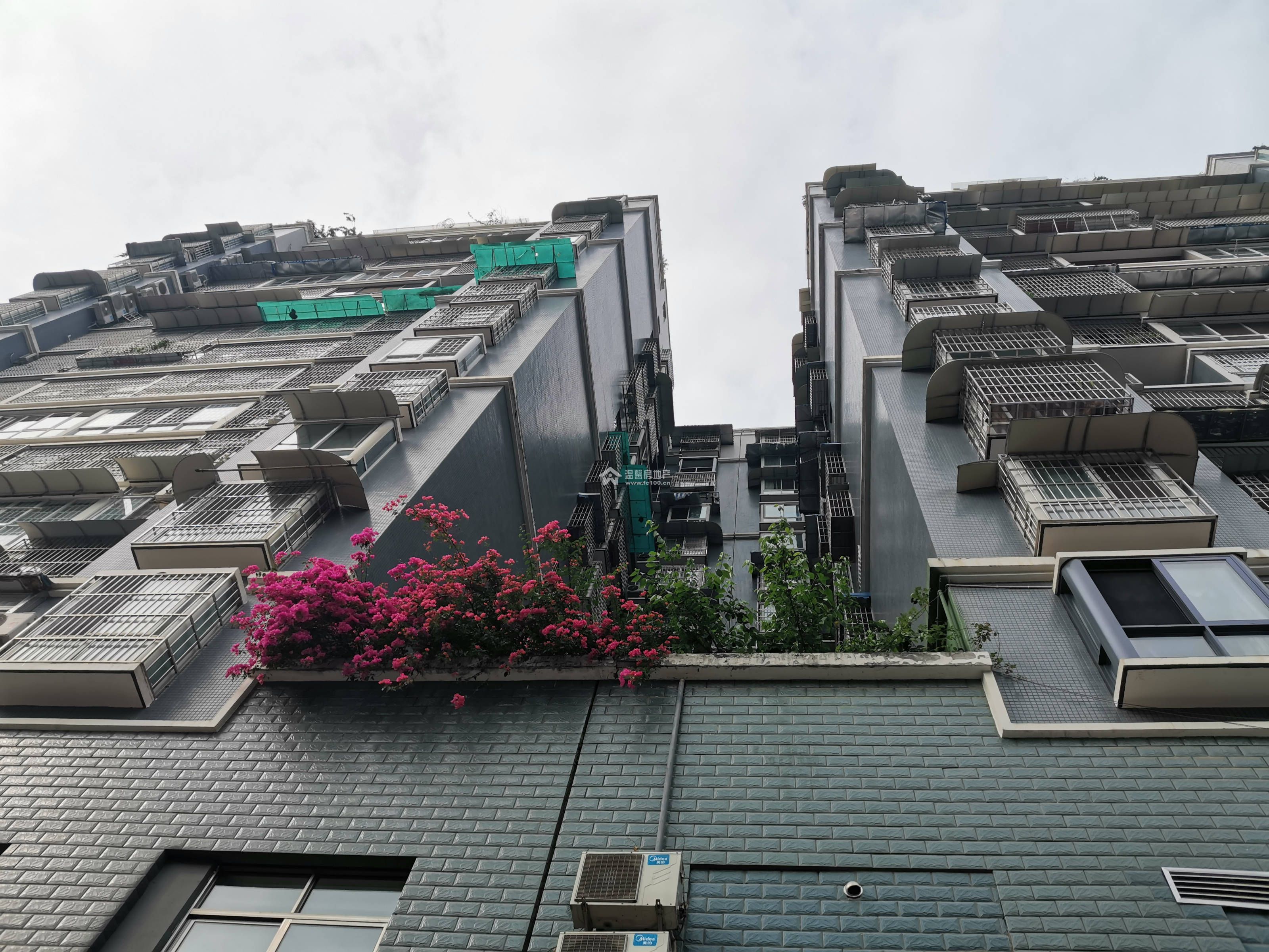 丽都苑图片
