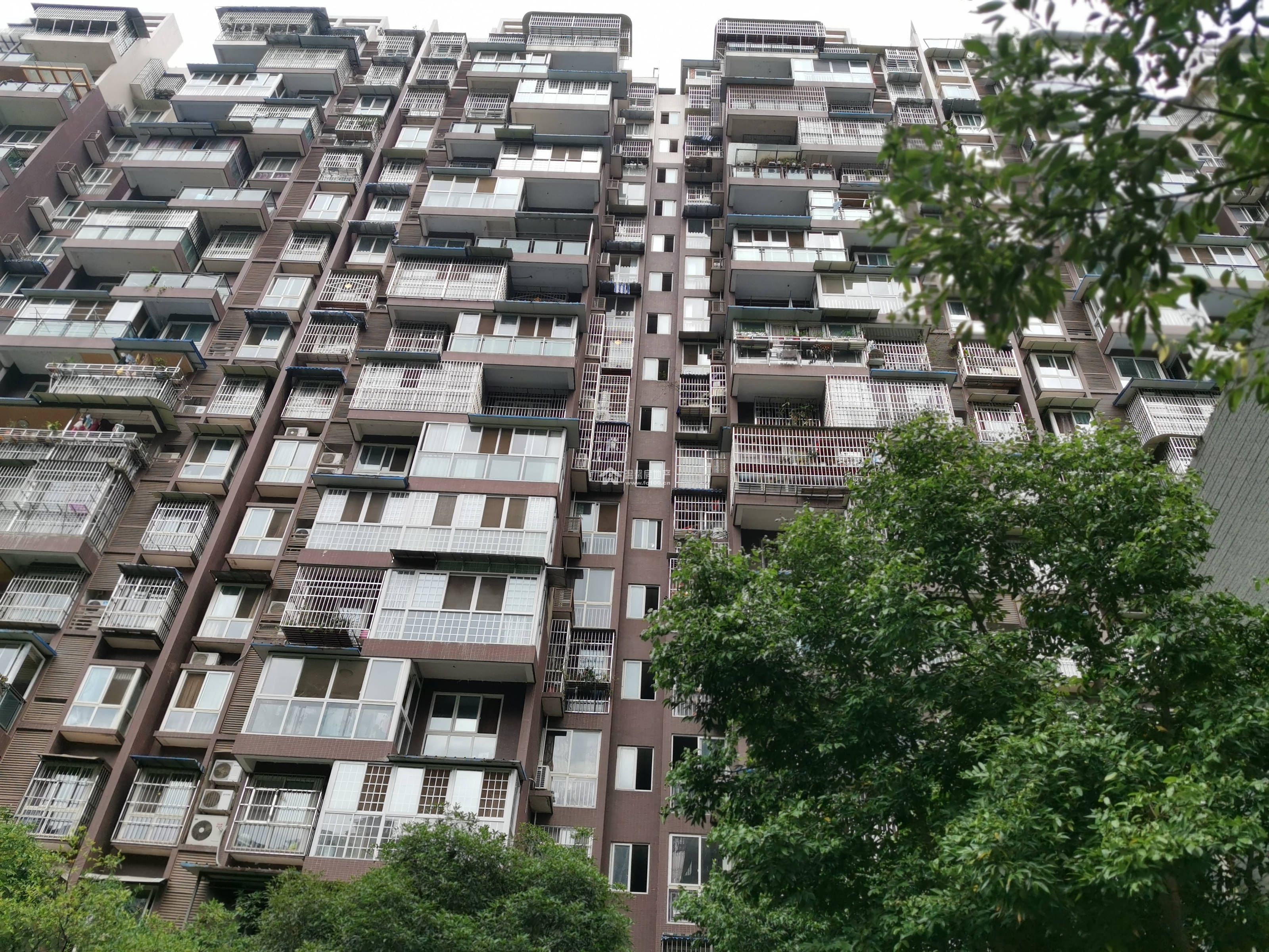 碧水云居图片