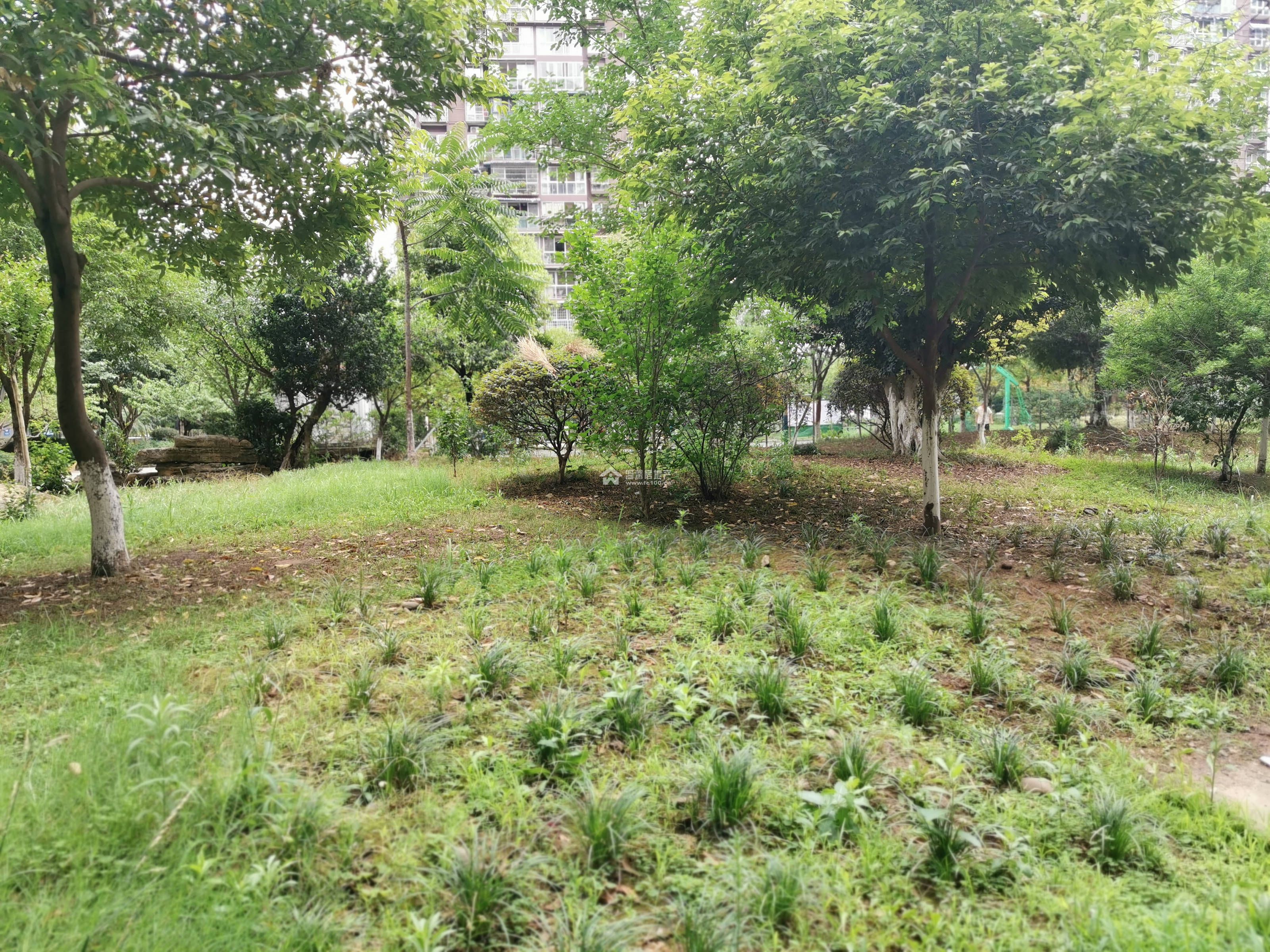 碧水云居图片