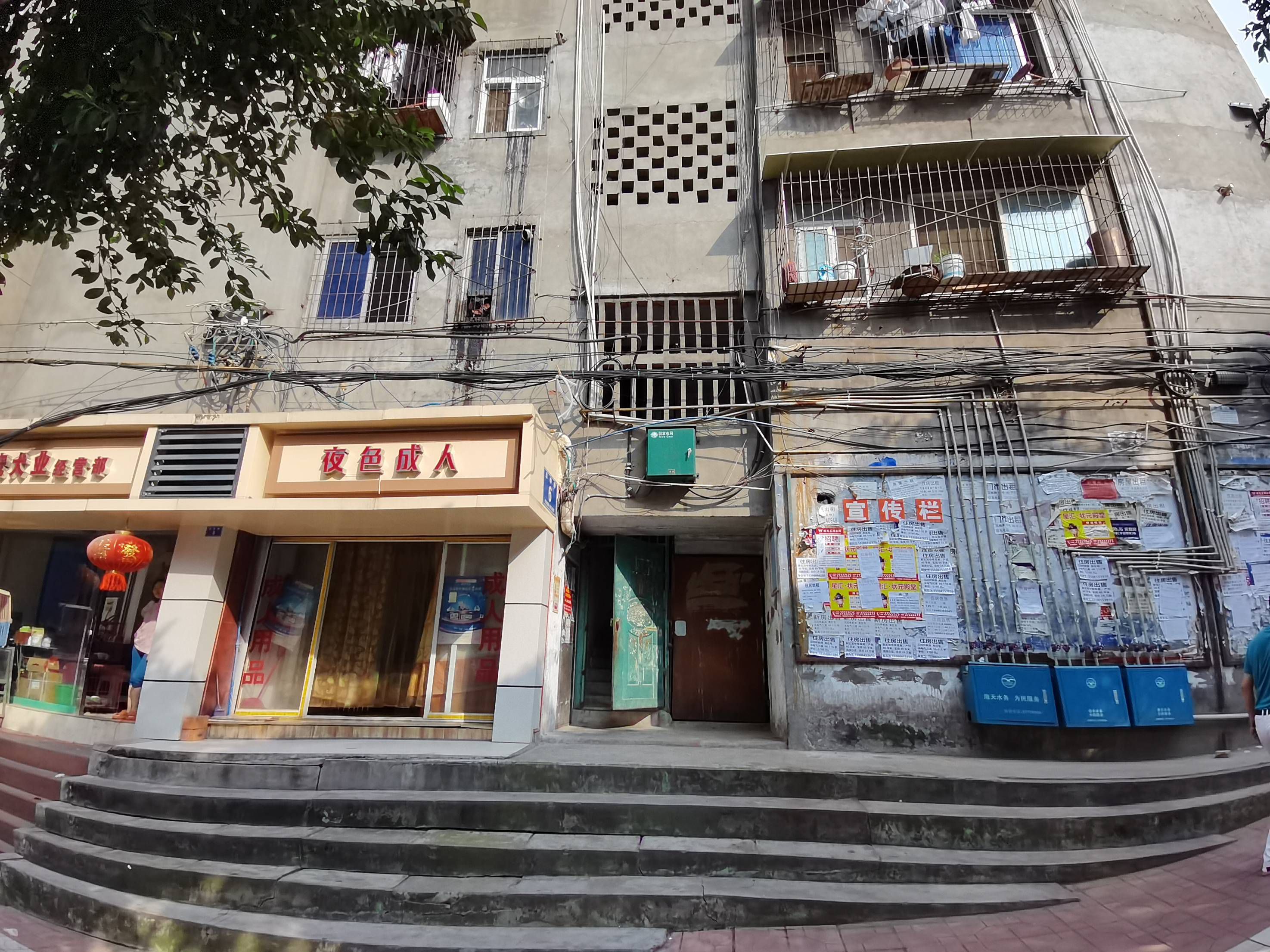 蓝鲸路6号图片