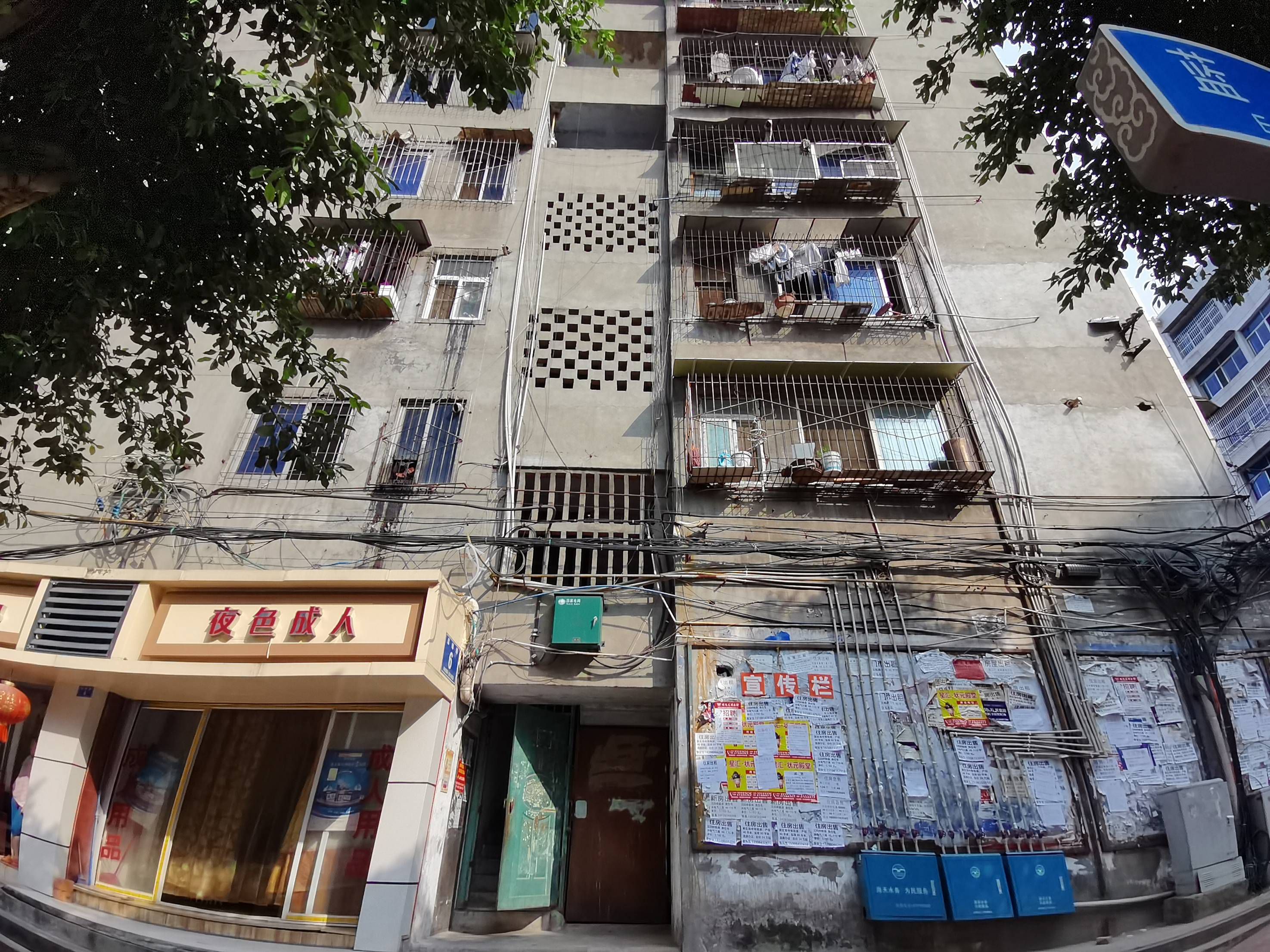蓝鲸路6号图片