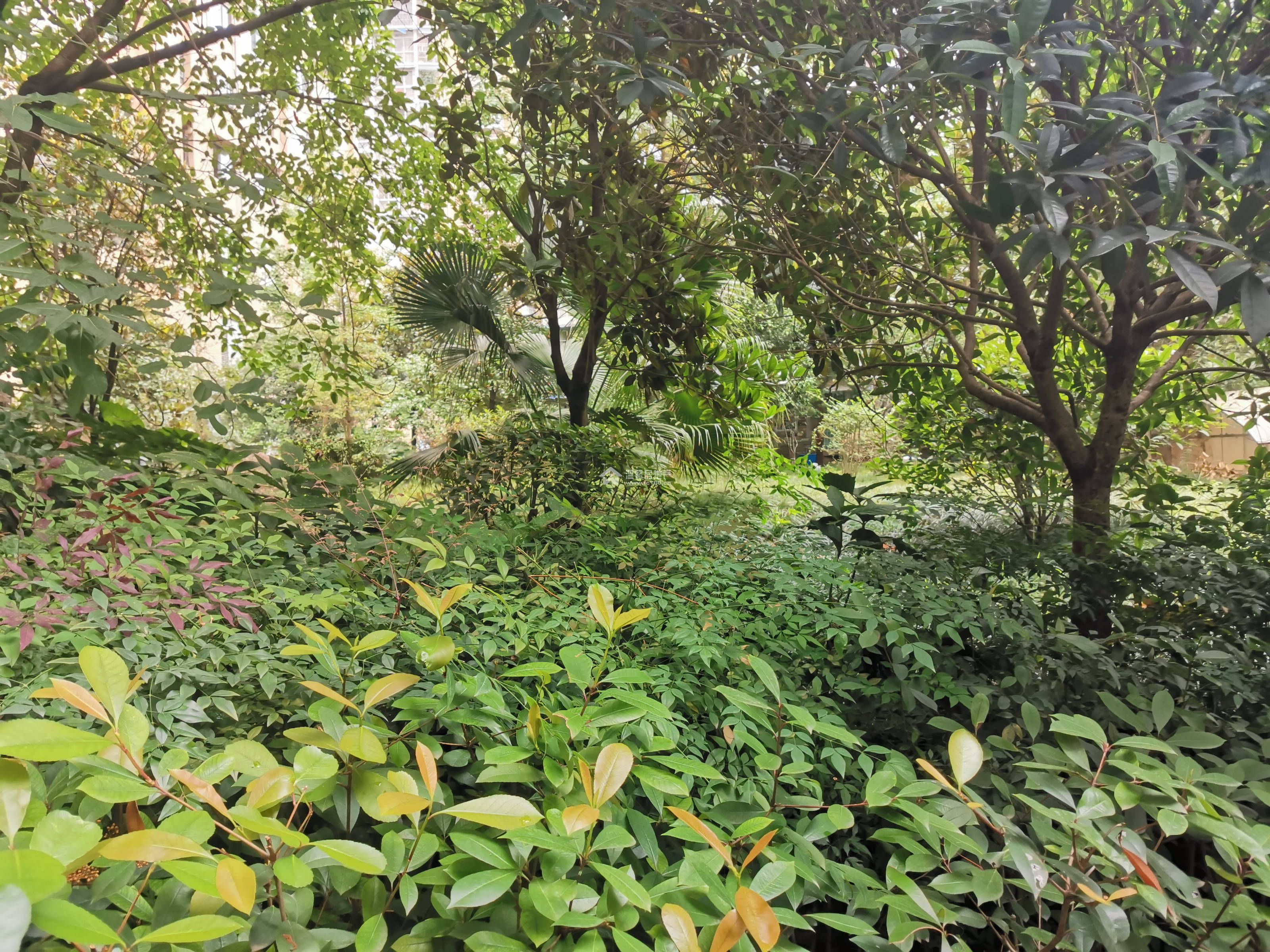 御景湾图片