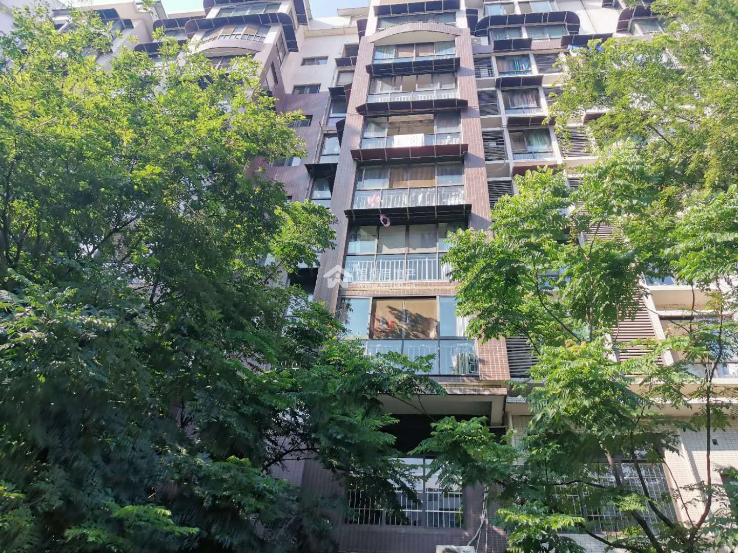 佰盛杰座图片