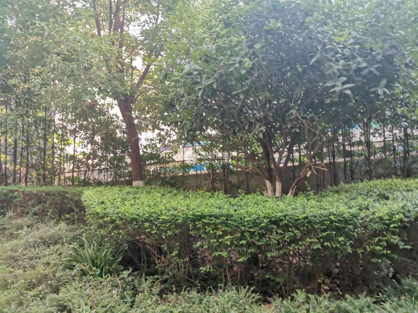 佰盛杰座图片