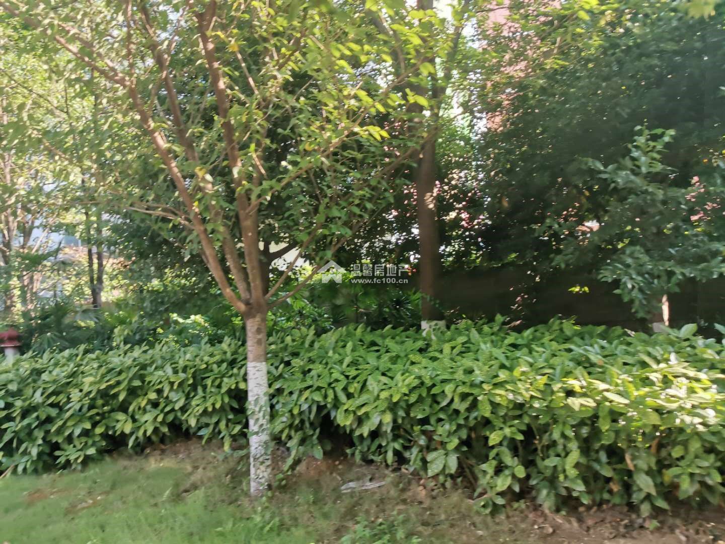 佰盛杰座图片