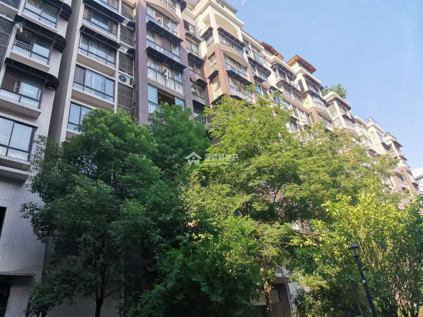 佰盛杰座图片