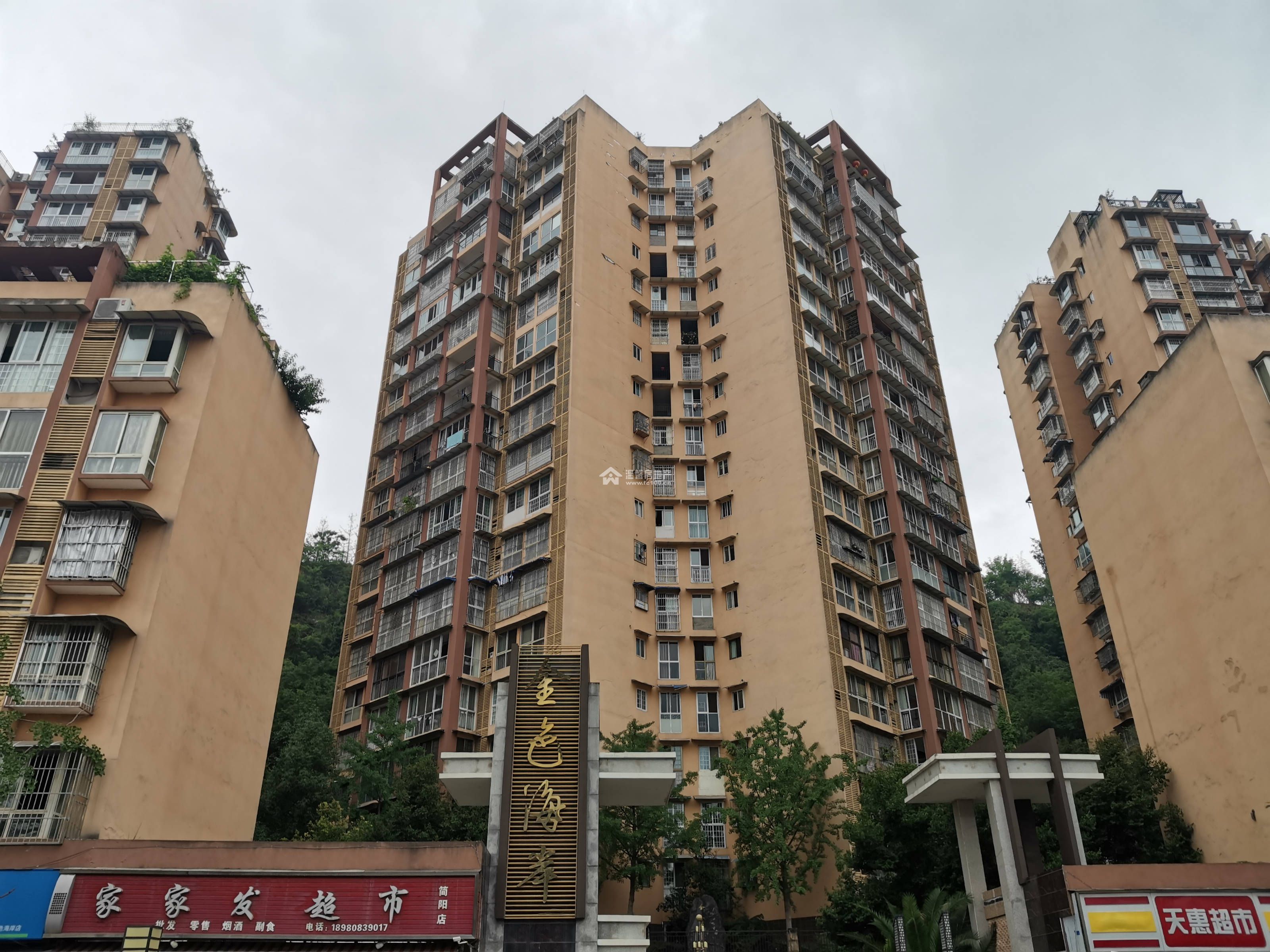 金色海岸图片